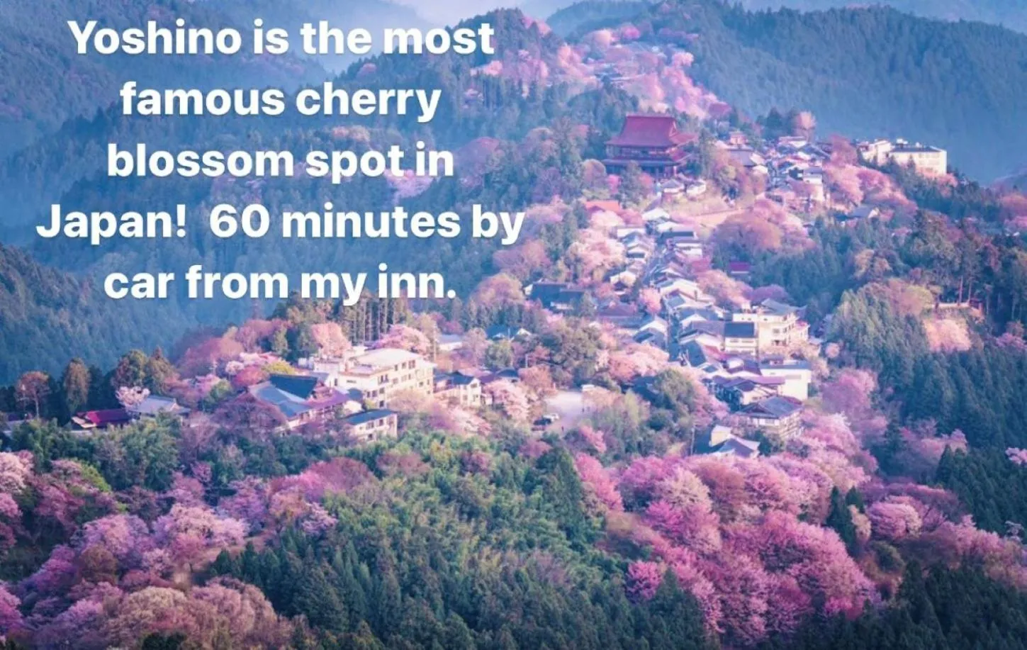 Neighbourhood in Inn Unkai no Sato no Yado 民宿 雲海の里の宿