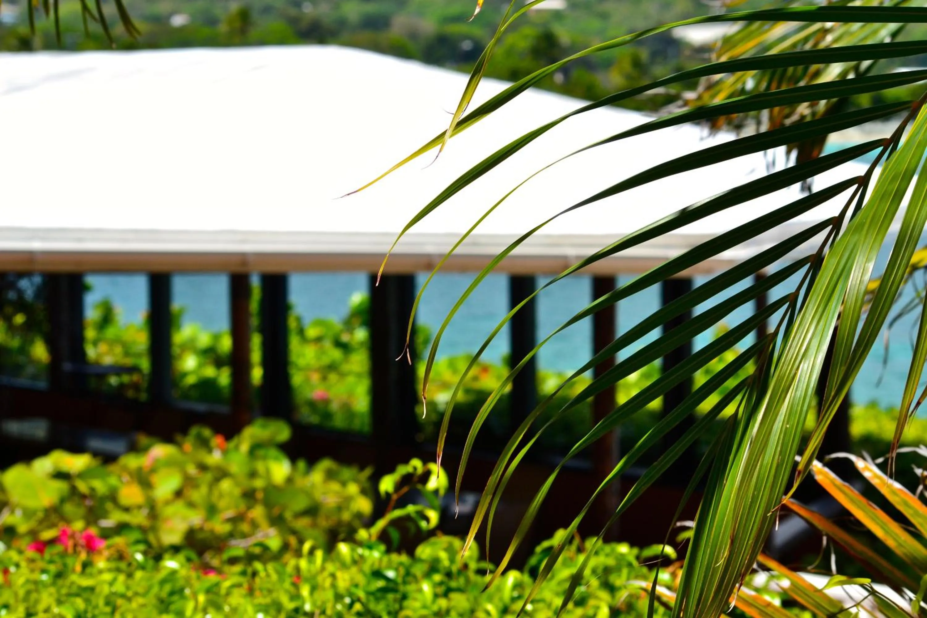 Balcony/Terrace in Lindbergh Bay Hotel