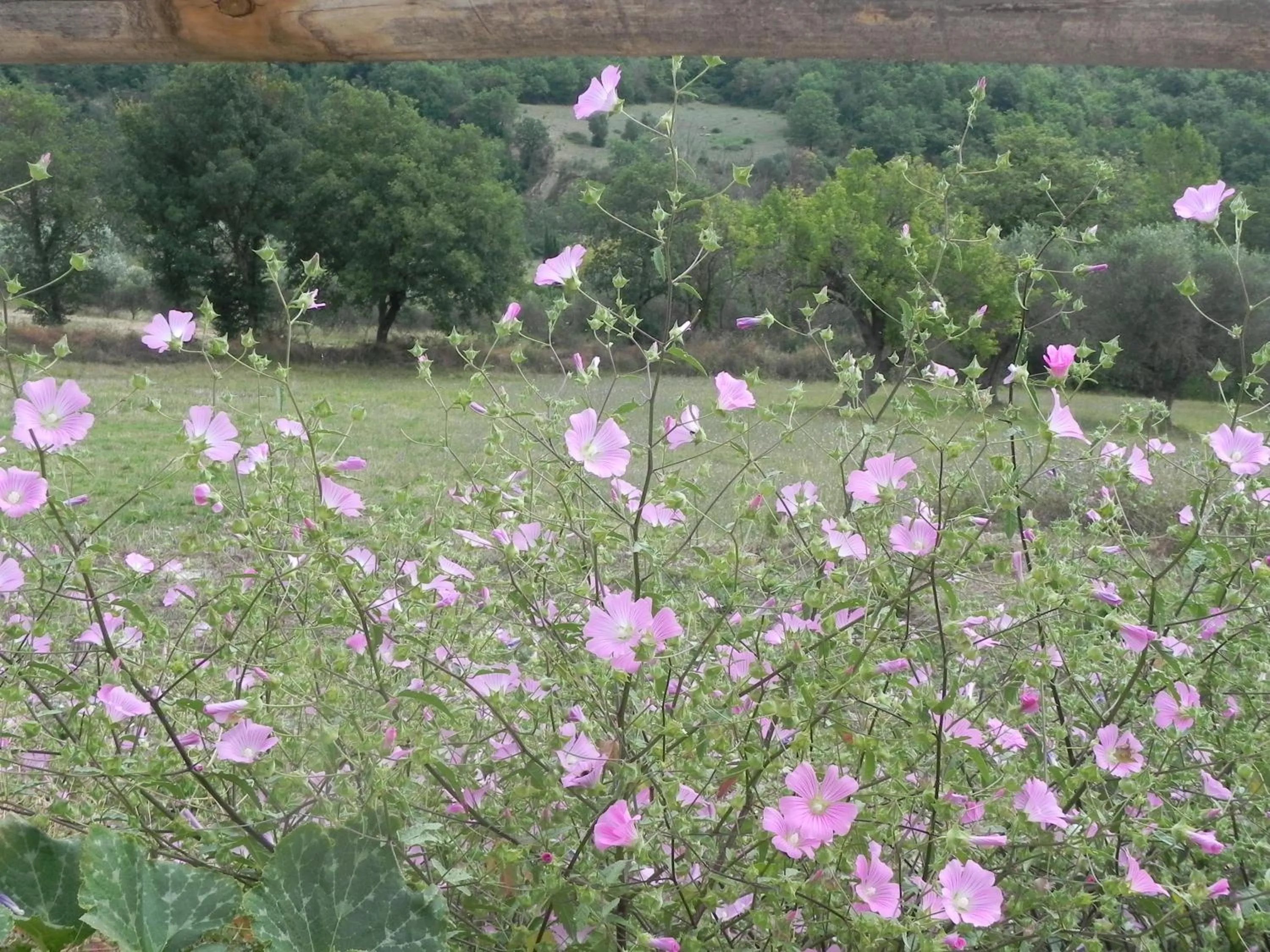 Spa and wellness centre/facilities in Agriturismo B&B Il Rifugio di Nino