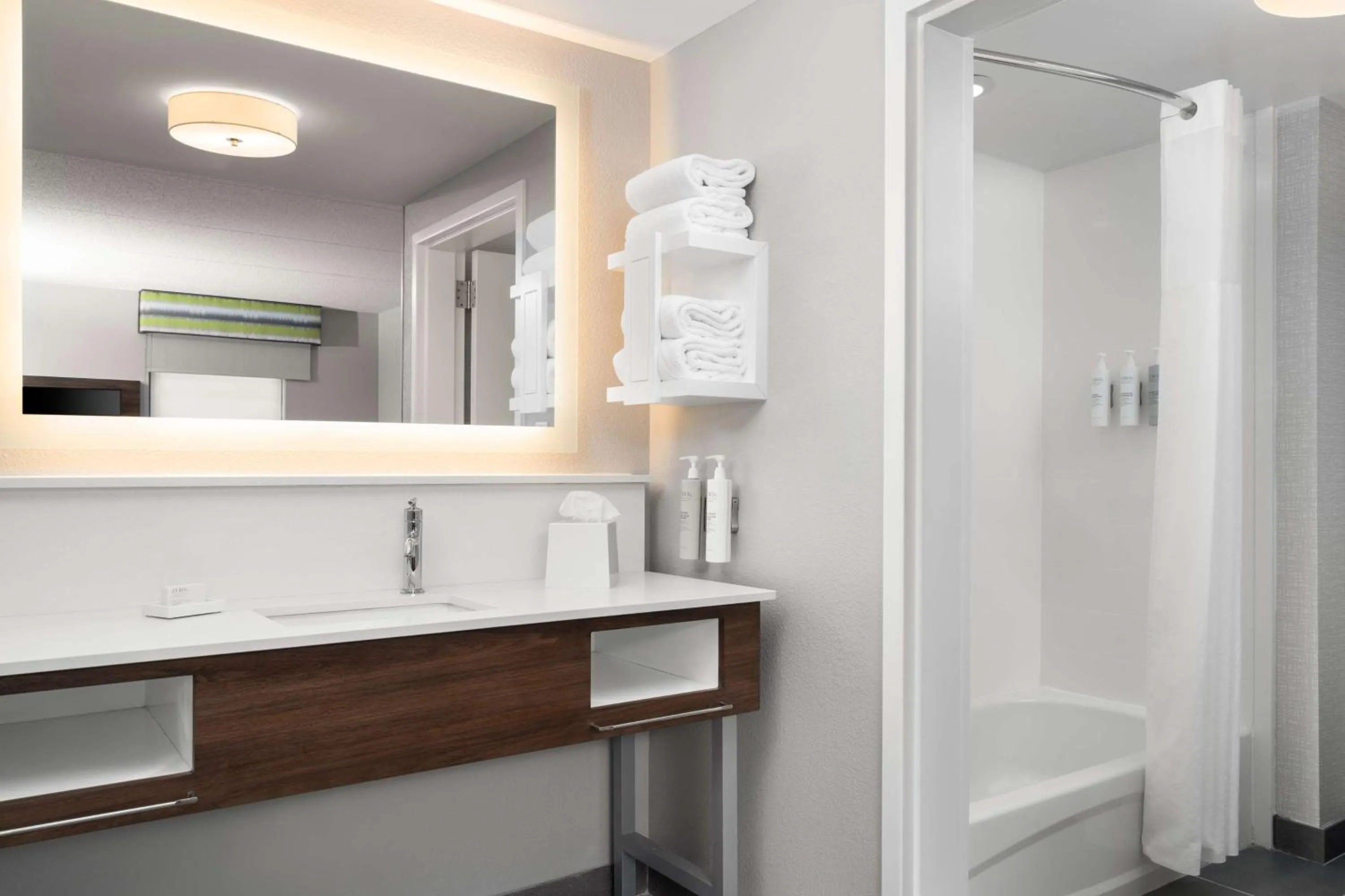 Bathroom in Hampton Inn Spring Lake Fayetteville