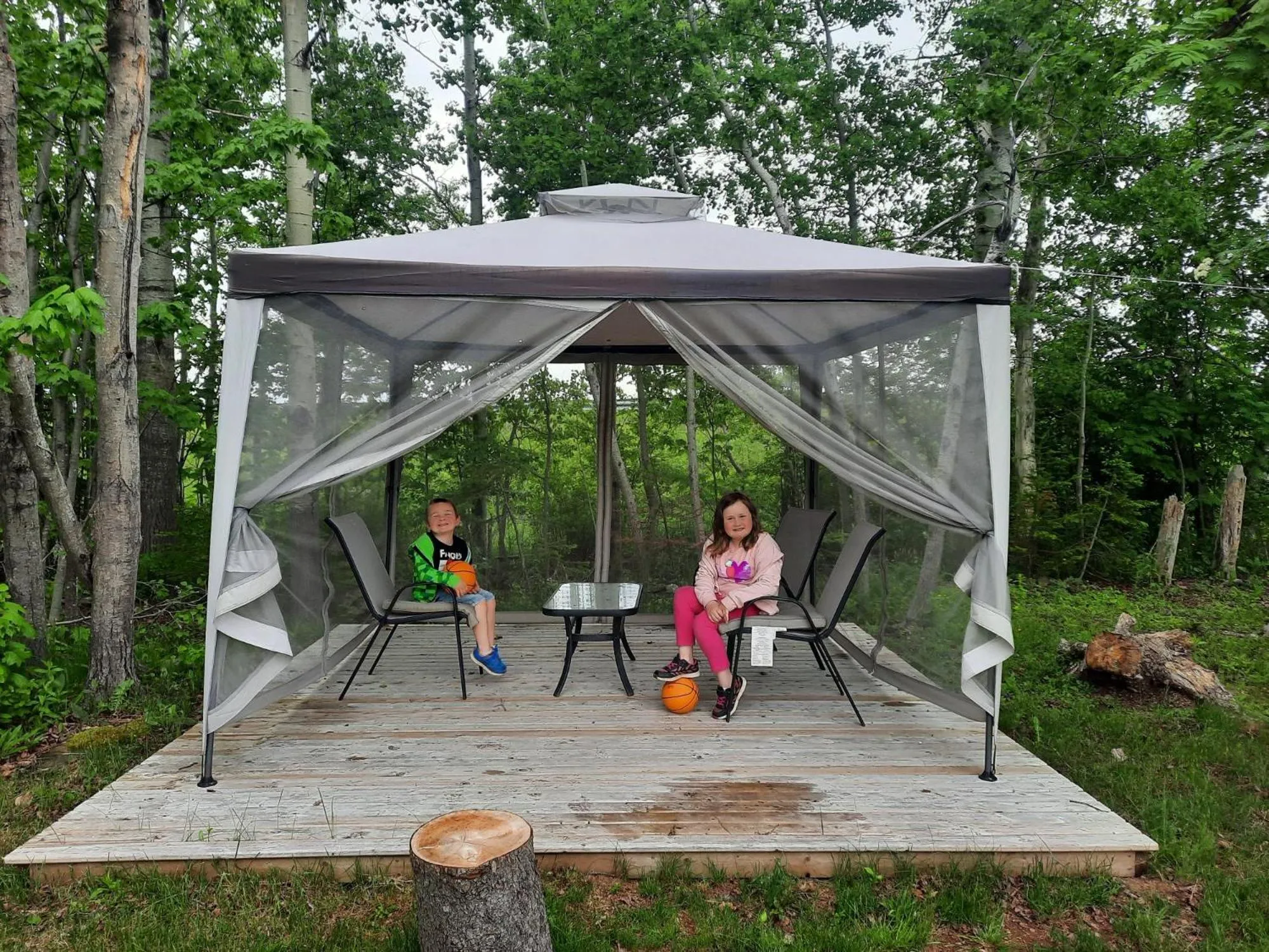 Natural landscape in Clansman Motel