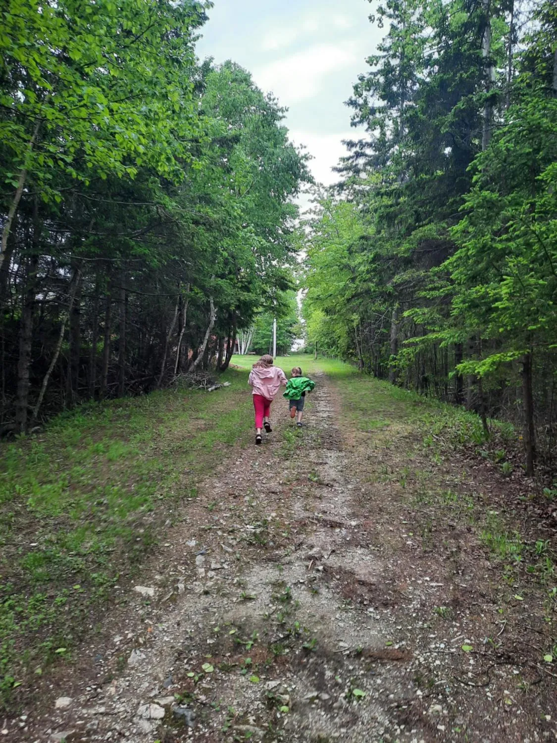 Natural landscape in Clansman Motel