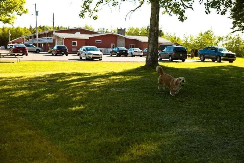 Natural landscape in Clansman Motel