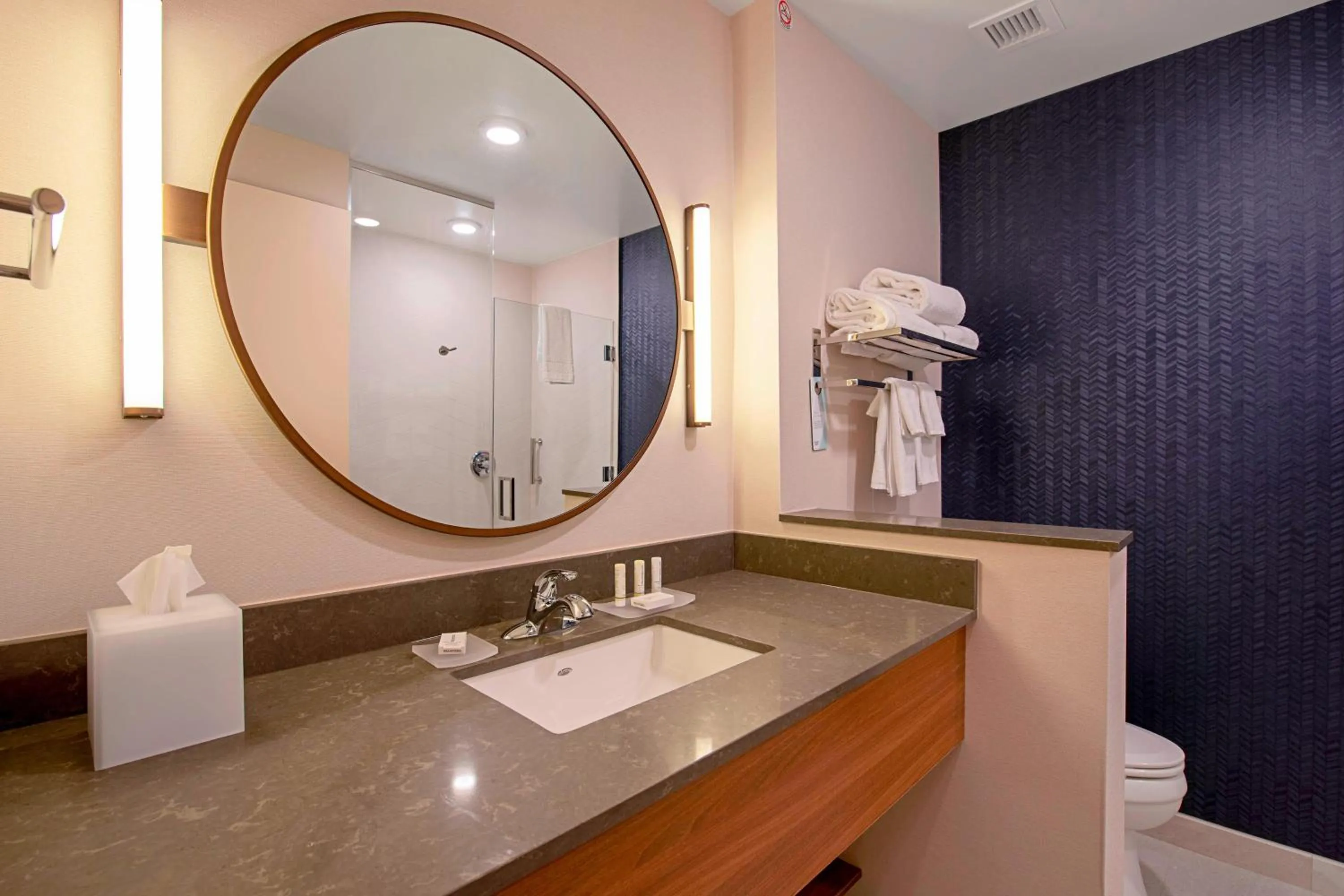 Bathroom in Fairfield Inn & Suites By Marriott Duluth Waterfront