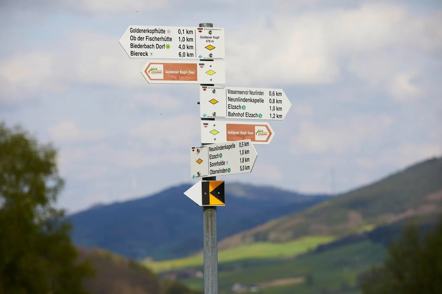 Natural landscape in ElzLand Hotel 9 Linden