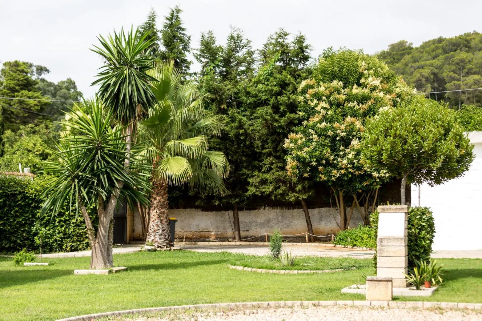 Garden in Hotel Nómadas