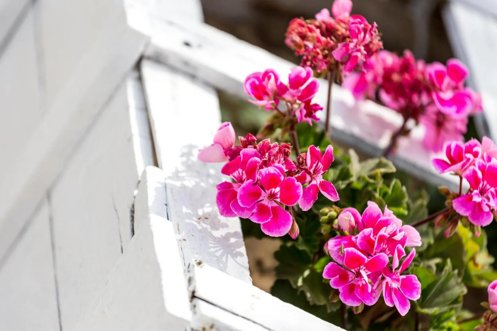 Balcony/Terrace in Hotel Nómadas