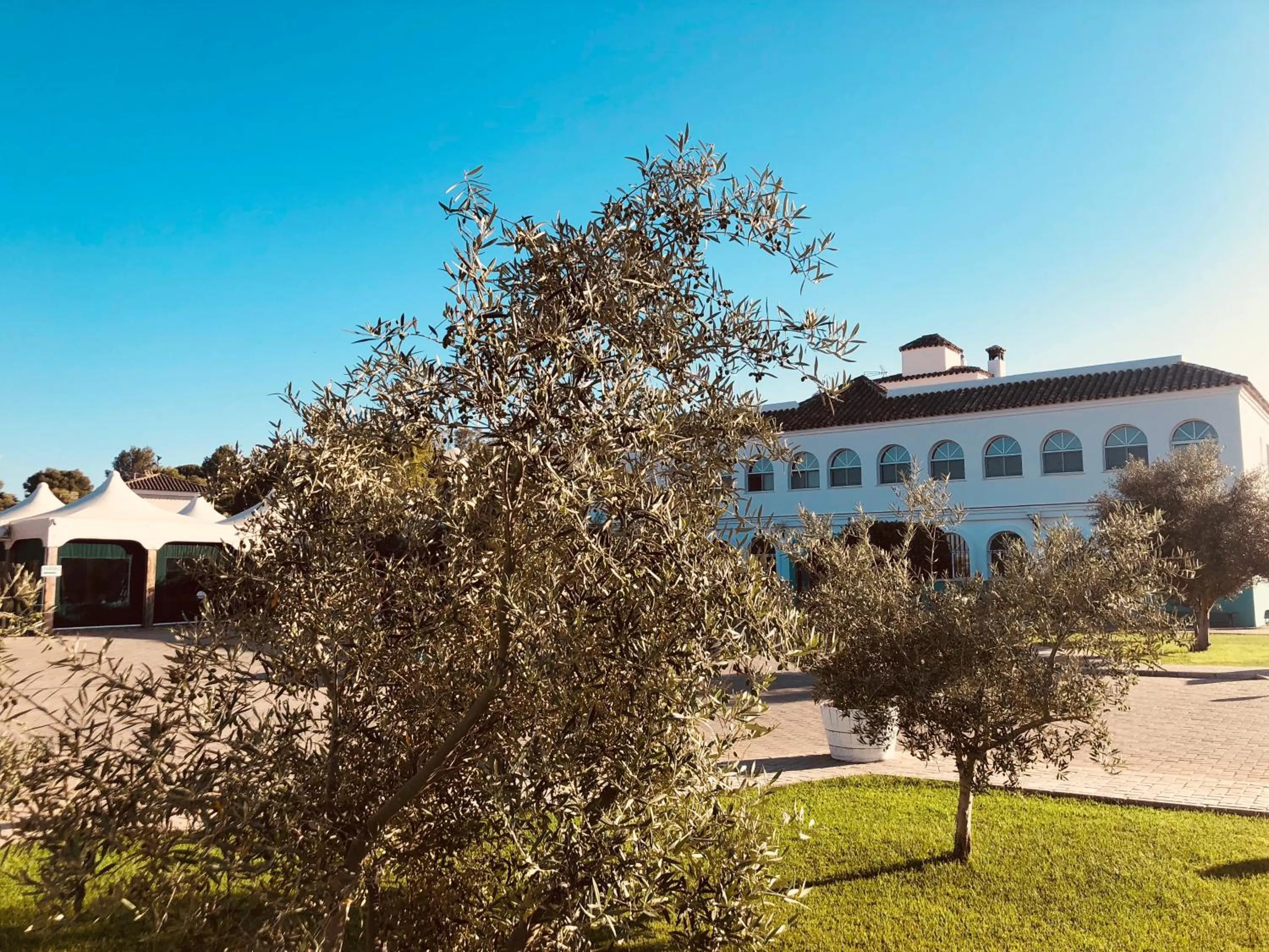 Garden in Hotel Nómadas