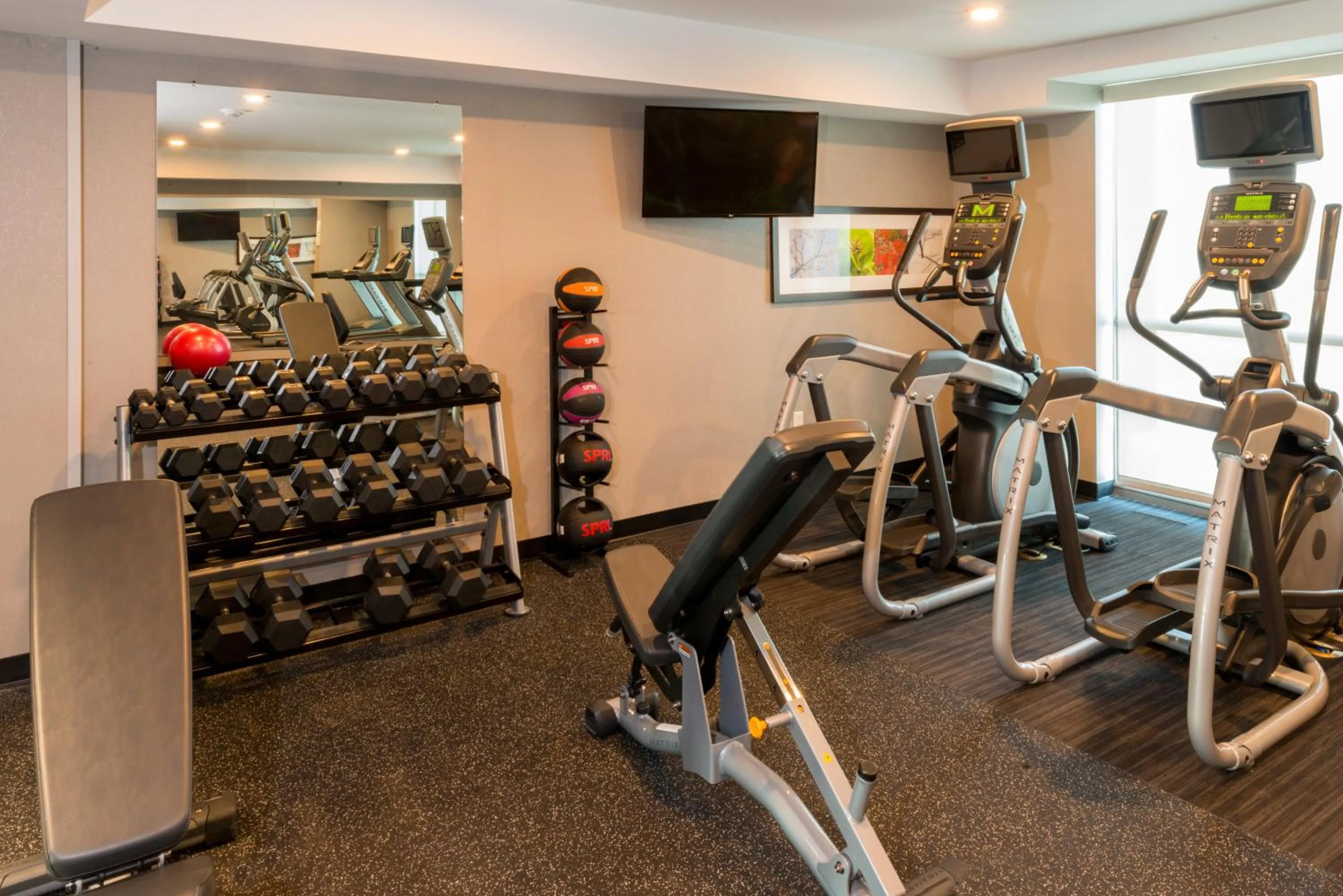 Fitness centre/facilities in Holiday Inn Lexington - Hamburg by IHG