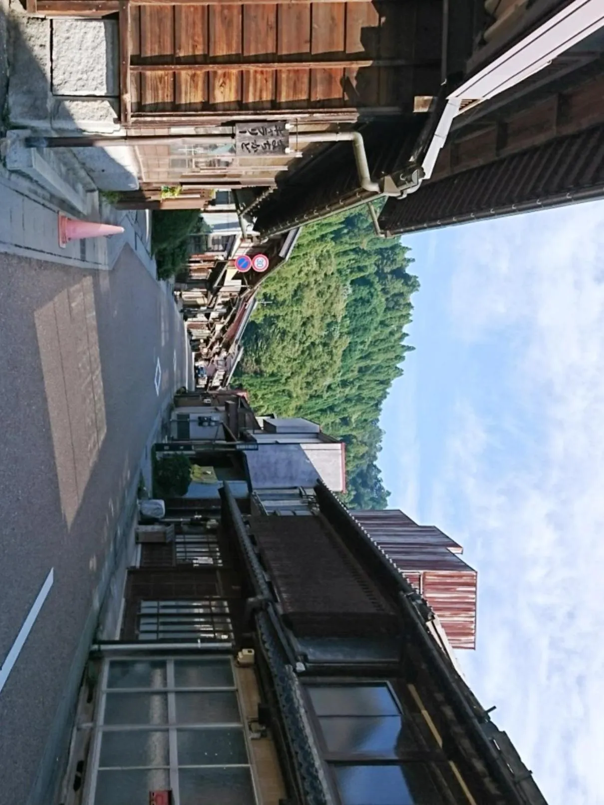 Neighbourhood in Iwamura Guest House Yanagiya