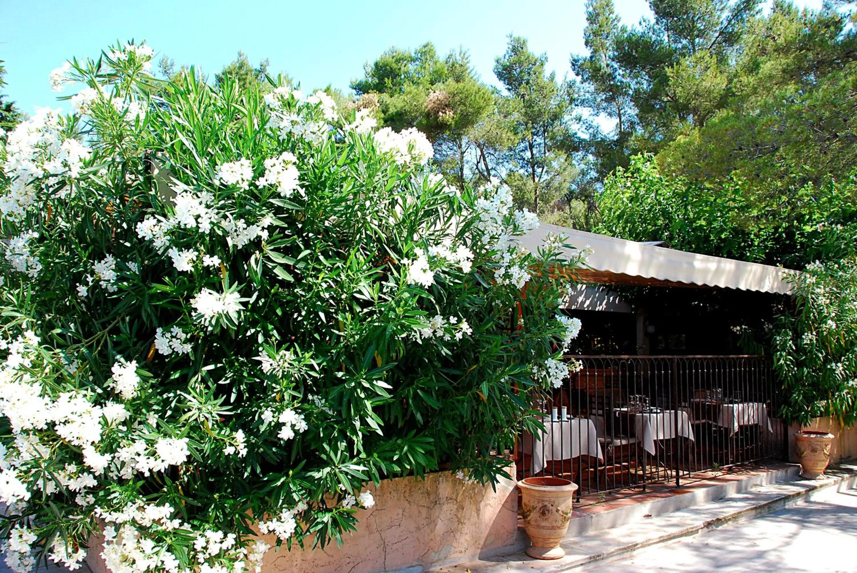 Patio in Hotel Les Mazets Des Roches