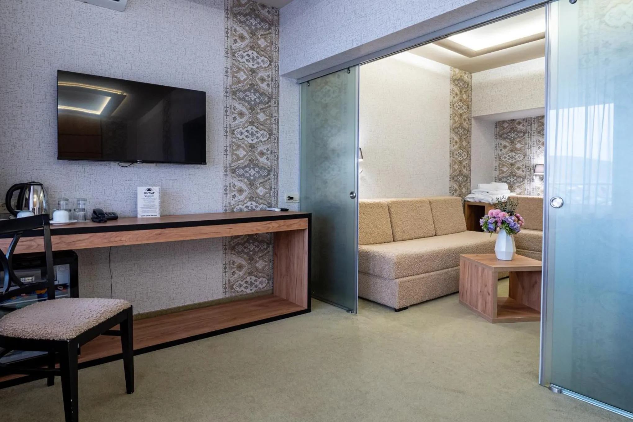 TV and multimedia in SPA Hotel Olymp