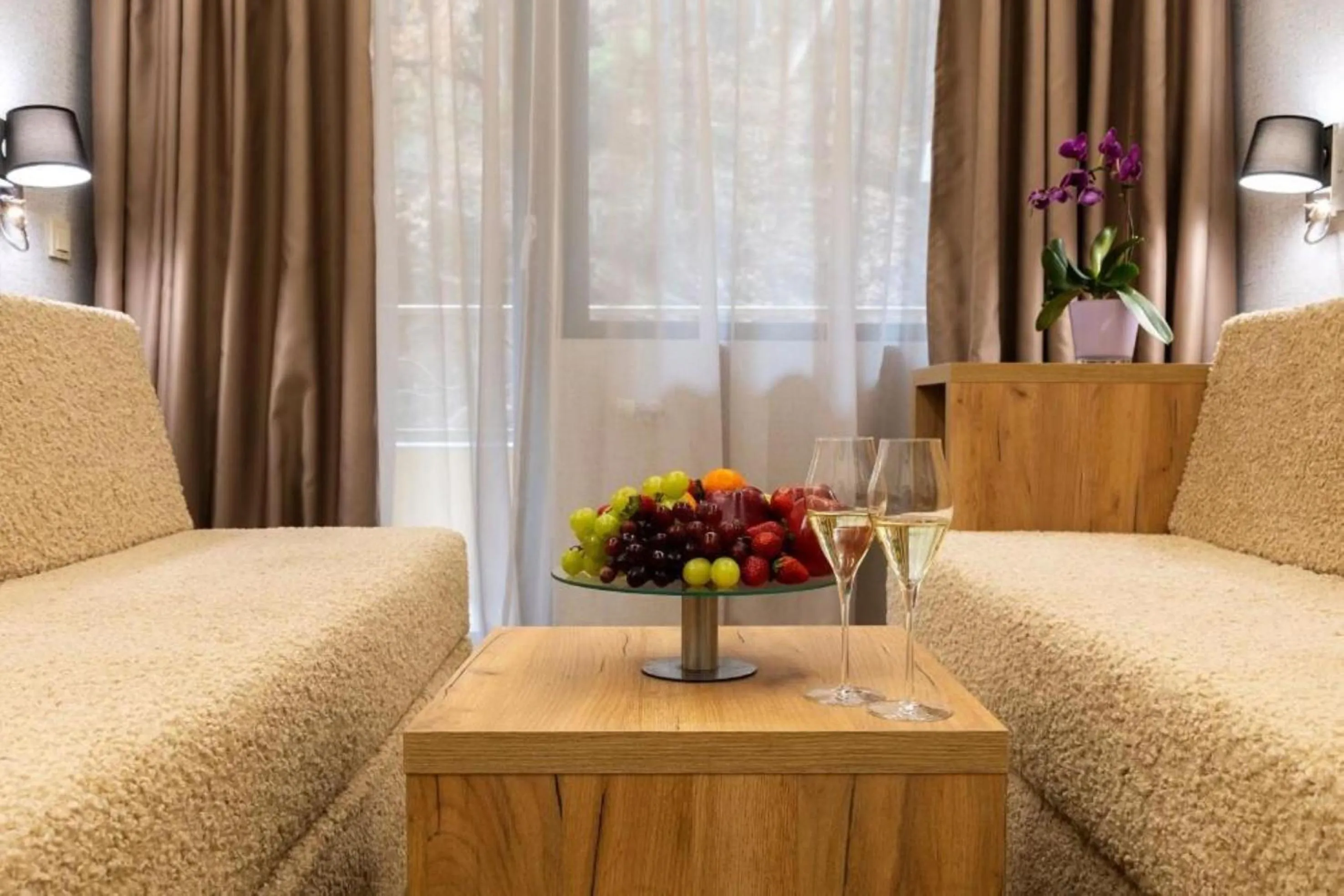 View (from property/room) in SPA Hotel Olymp