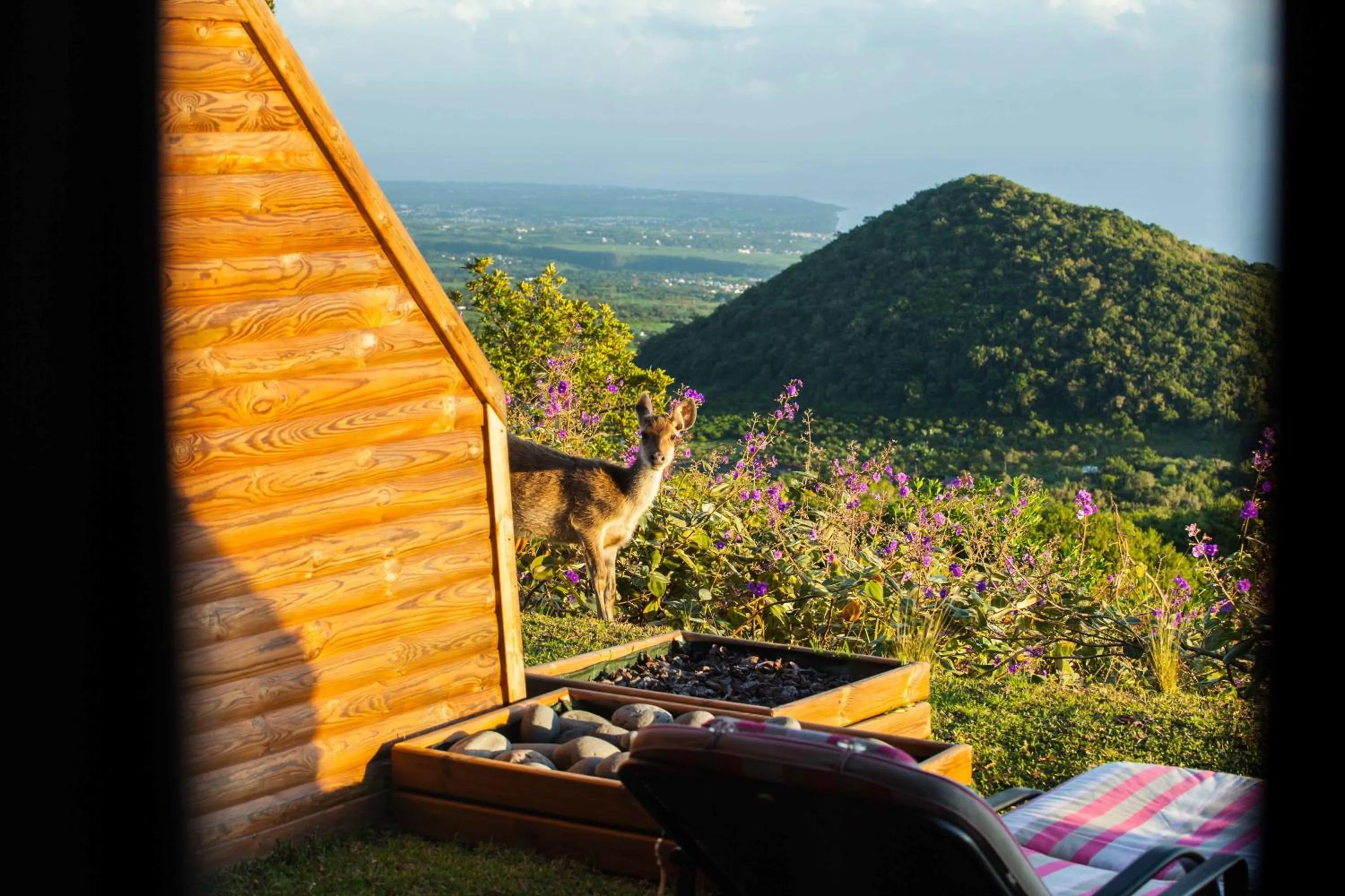 Day in Hôtel Diana Dea Lodge & SPA