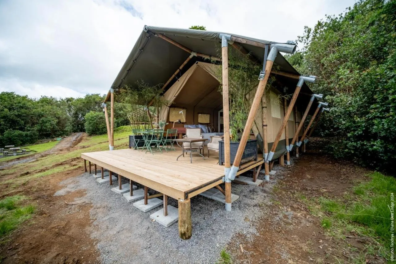 Patio in Hôtel Diana Dea Lodge & SPA