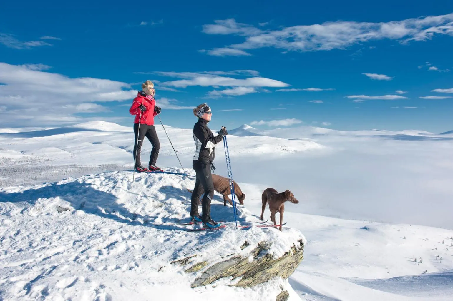 Natural landscape in Spidsbergseter Resort Rondane