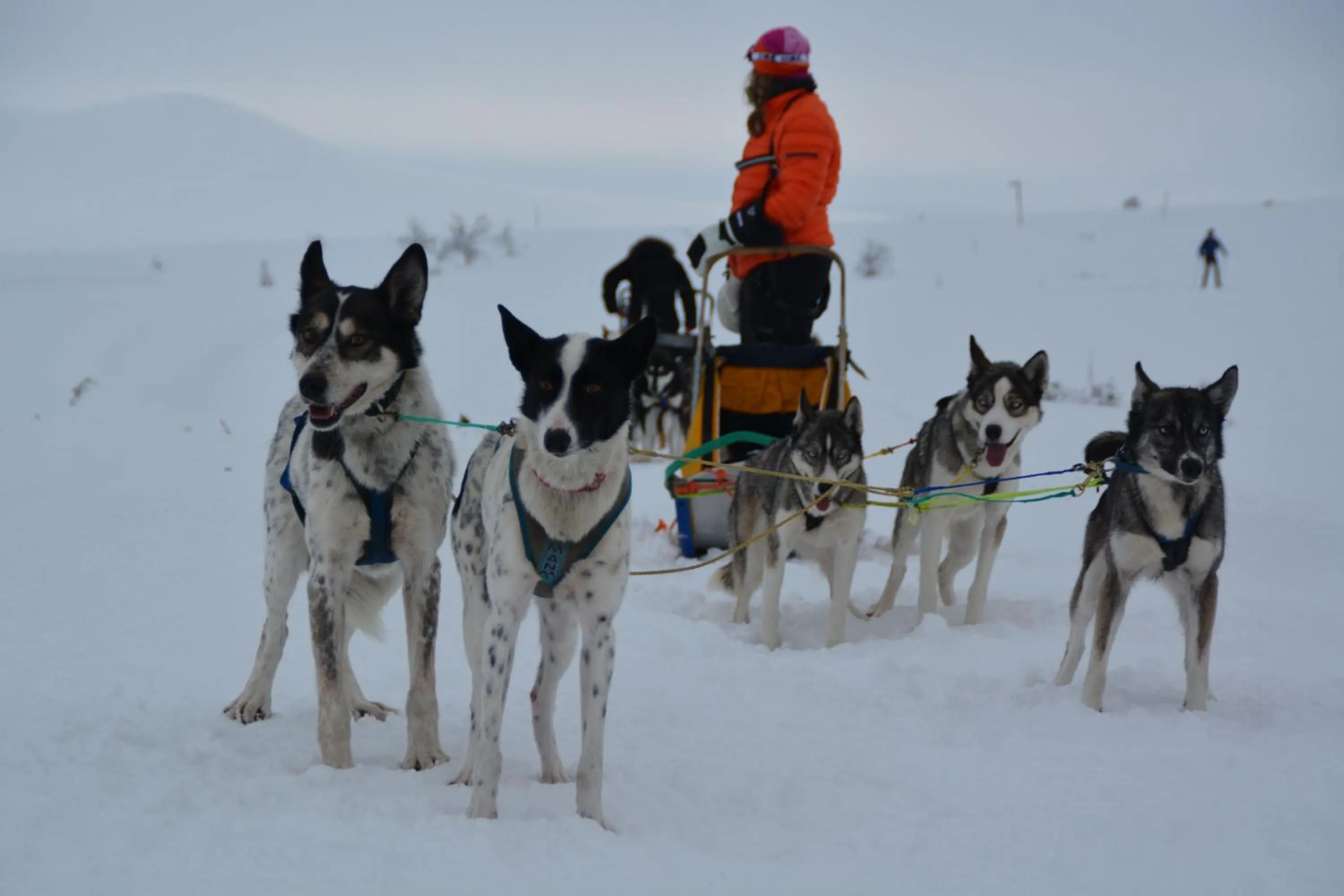 Activities in Spidsbergseter Resort Rondane