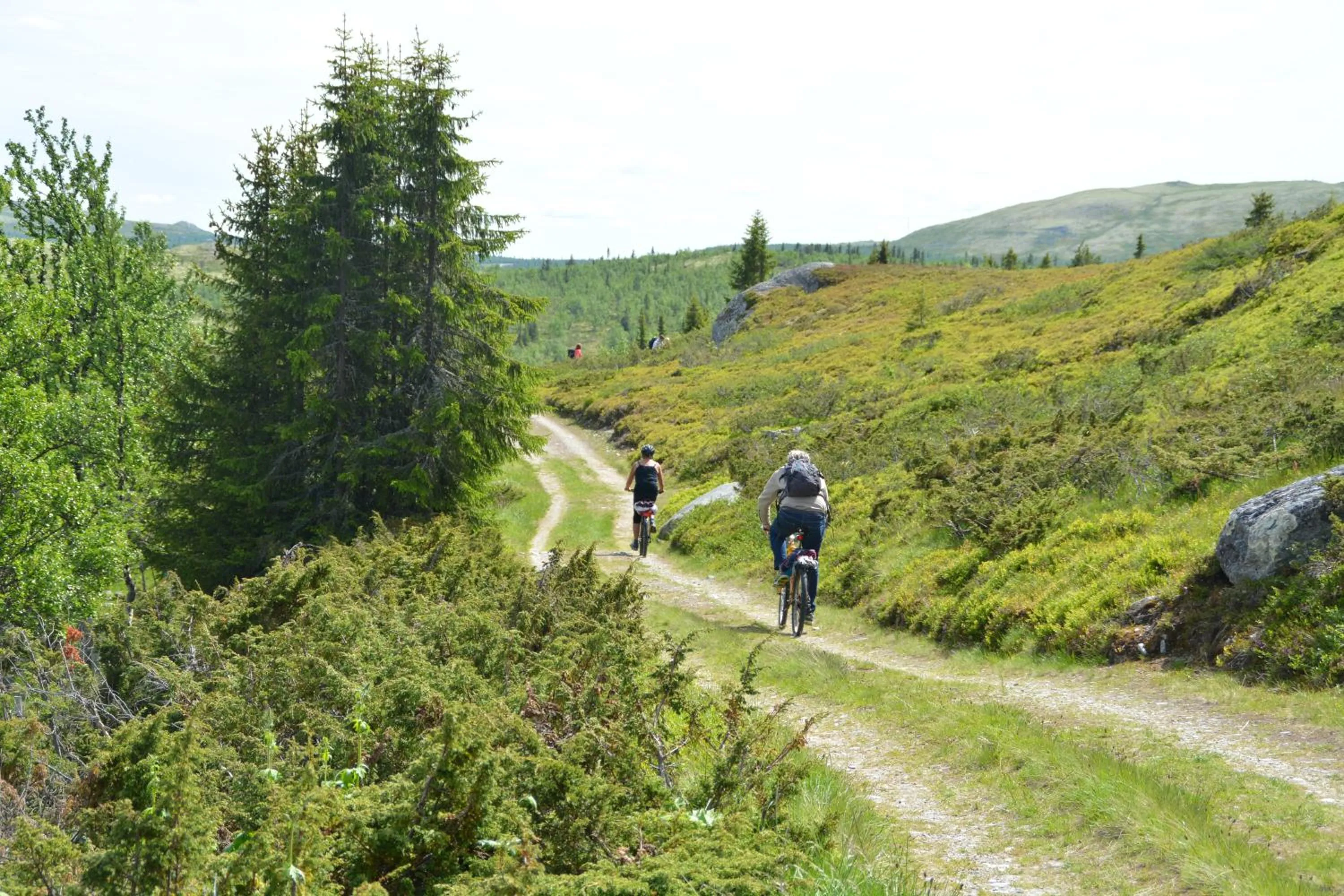 Summer in Spidsbergseter Resort Rondane