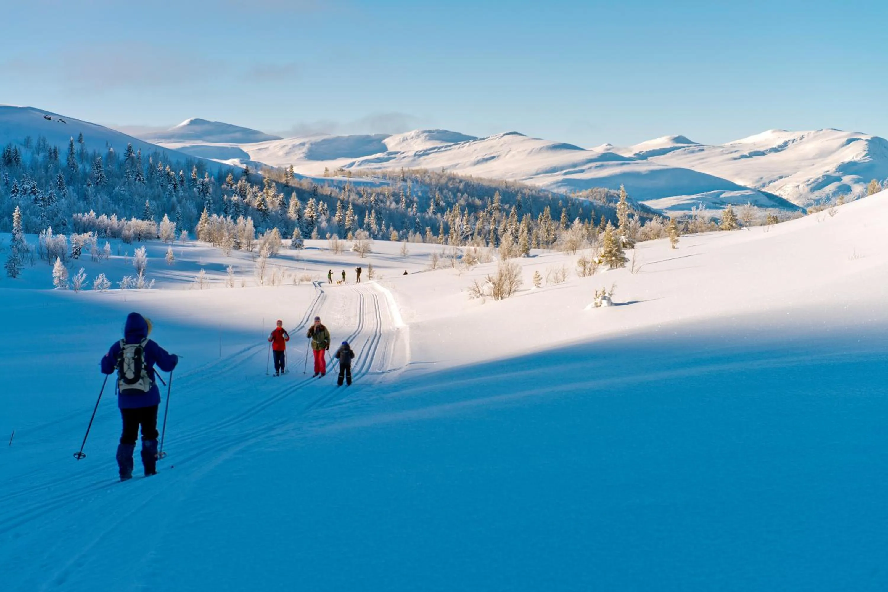 Natural landscape in Spidsbergseter Resort Rondane