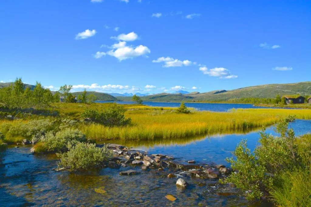 Natural landscape in Spidsbergseter Resort Rondane