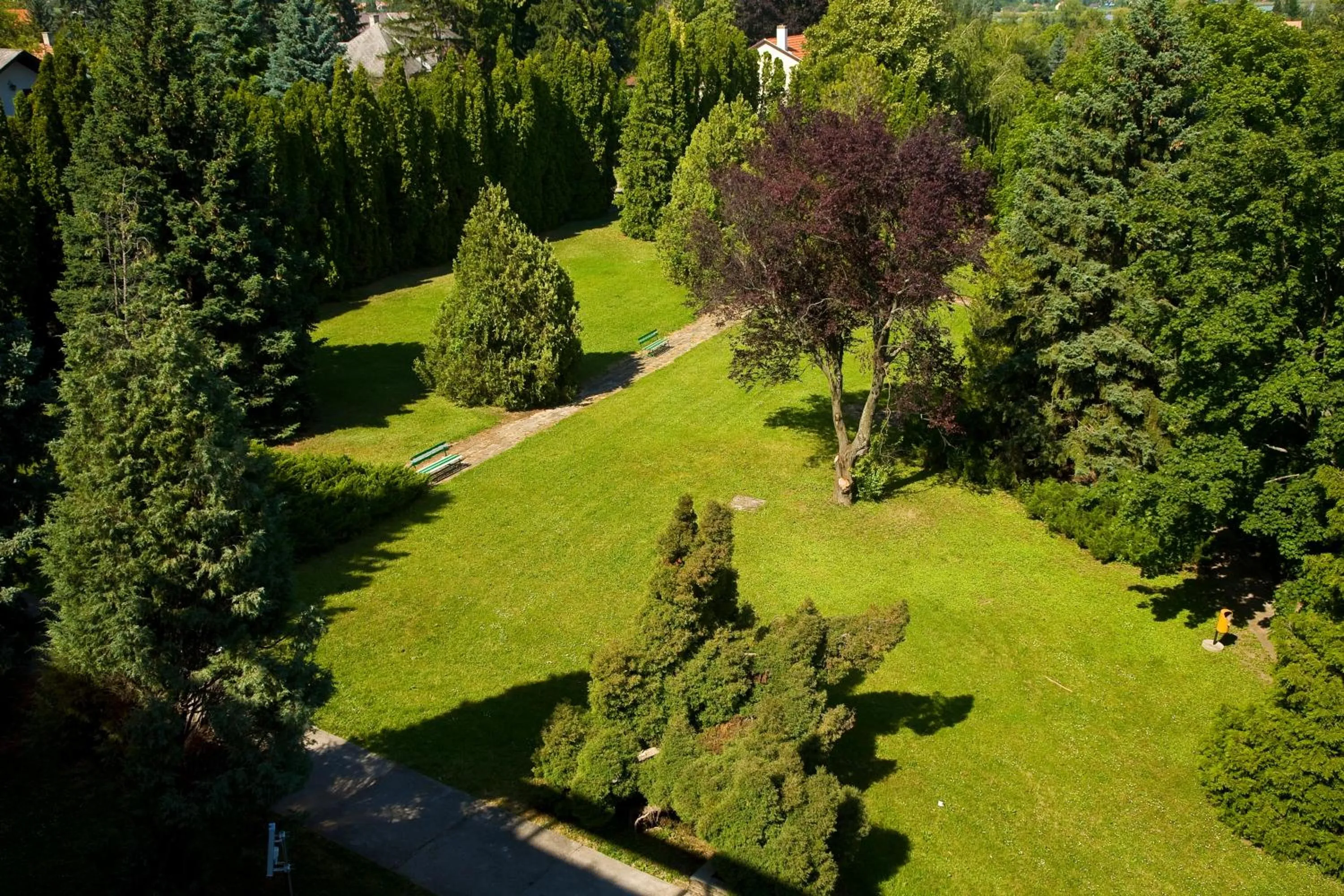 Natural landscape in Hotel Holiday Csopak