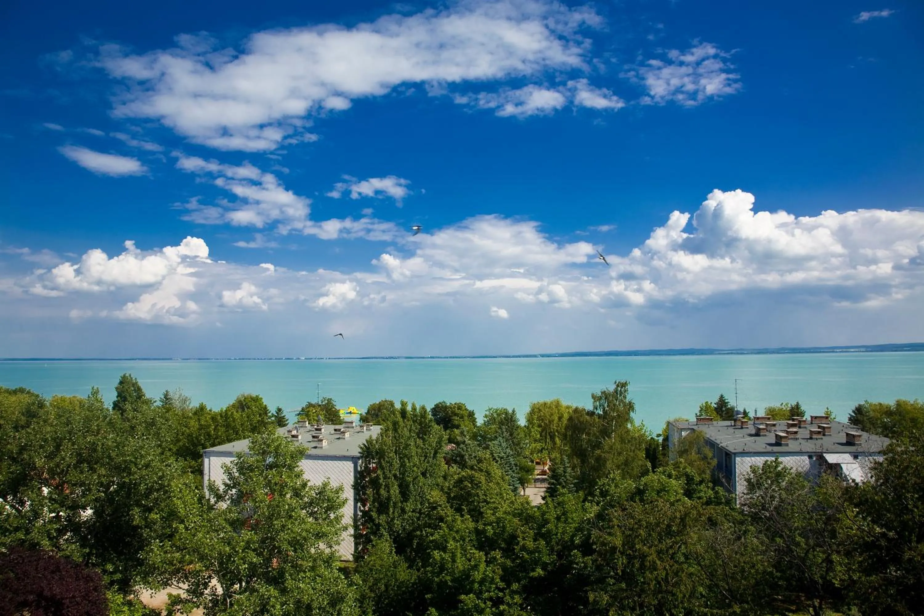 Area and facilities in Hotel Holiday Csopak