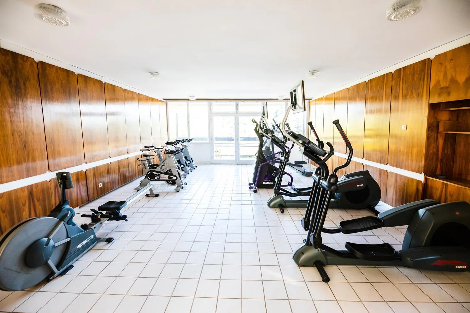 Fitness centre/facilities in Hotel Holiday Csopak