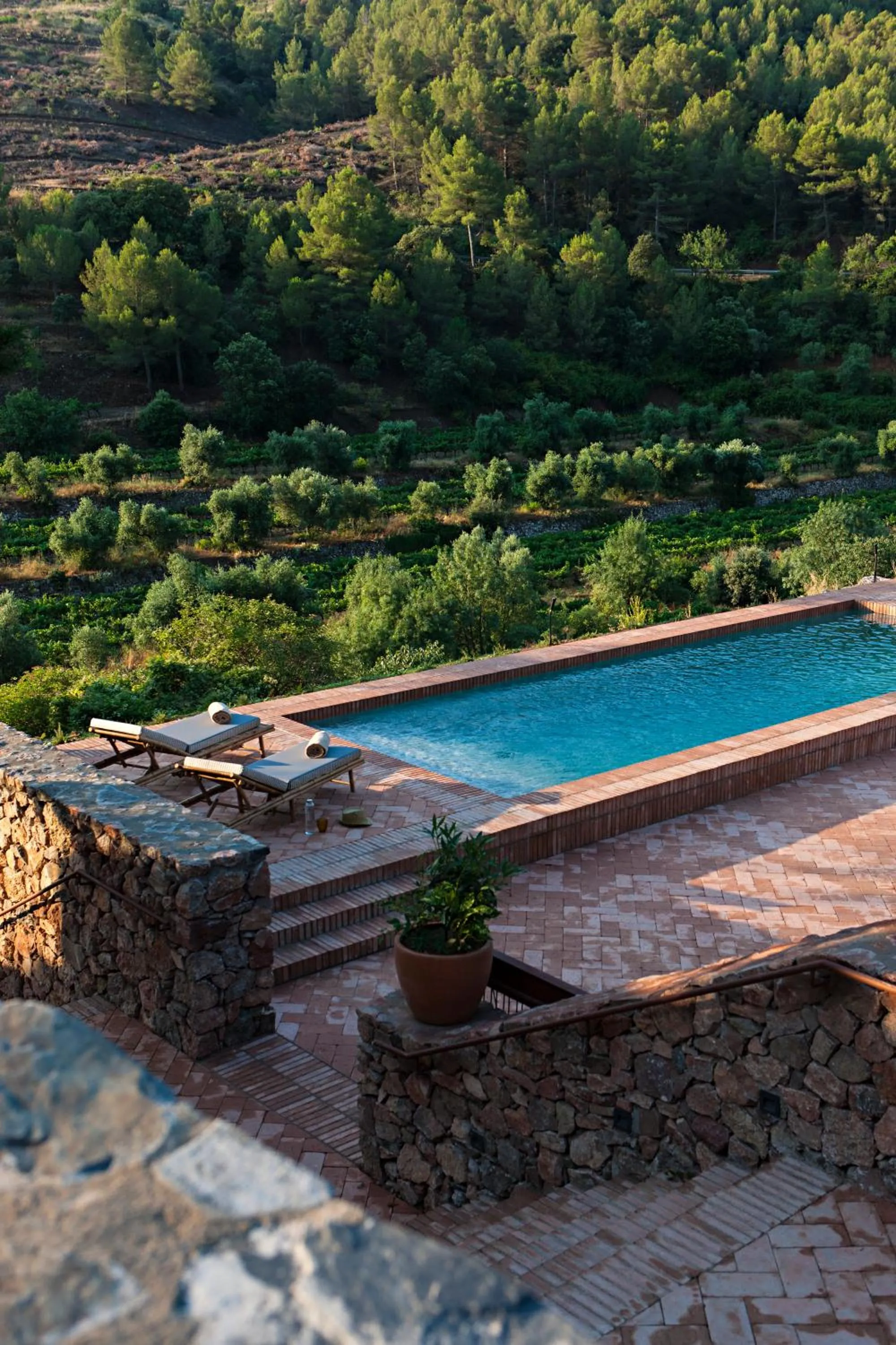 Swimming pool in Terra Dominicata - Hotel & Winery - Adults Only