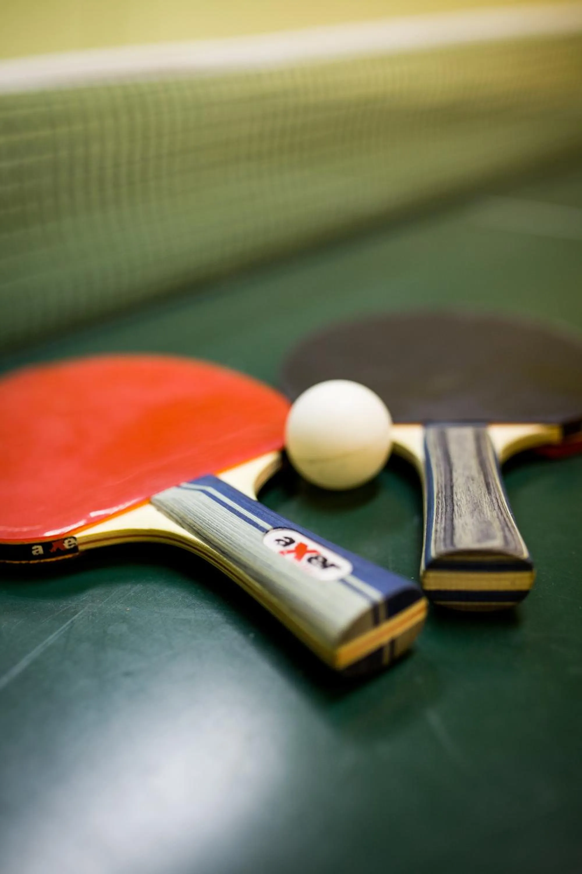 Table tennis in OW Posejdon Jastarnia - blisko morza i nad zatoką
