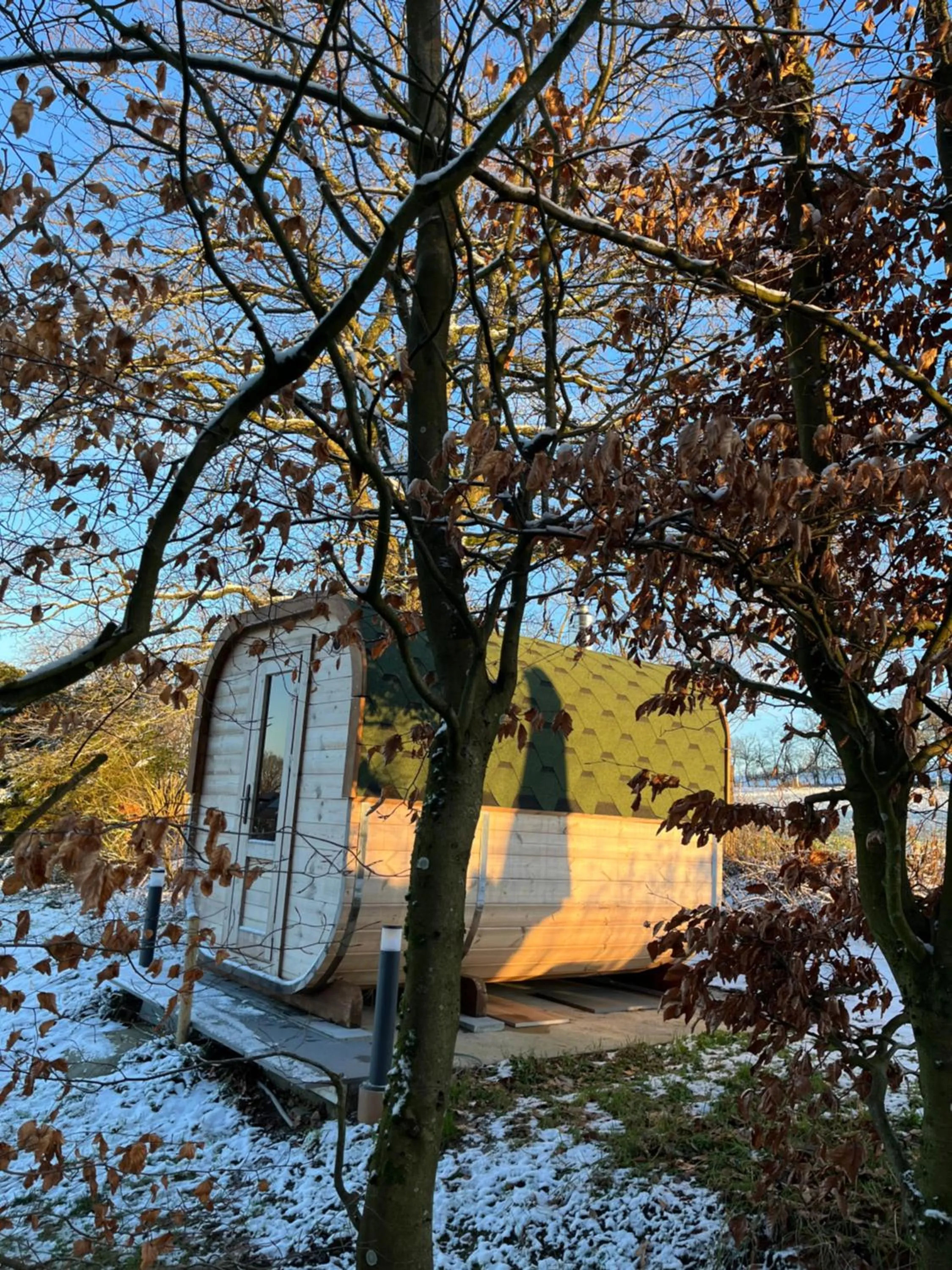 Natural landscape in "Un matin au jardin"