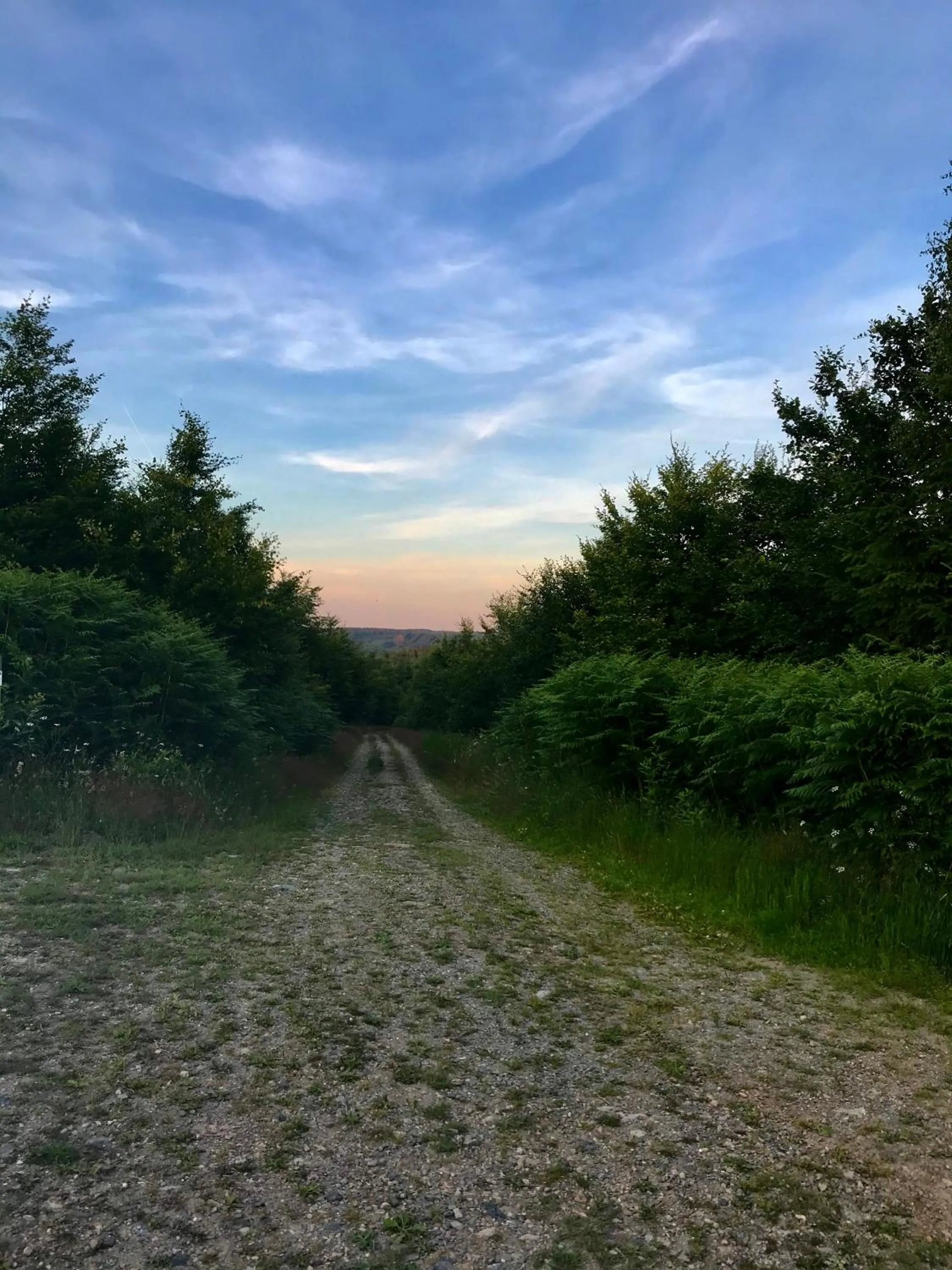 Natural landscape in "Un matin au jardin"