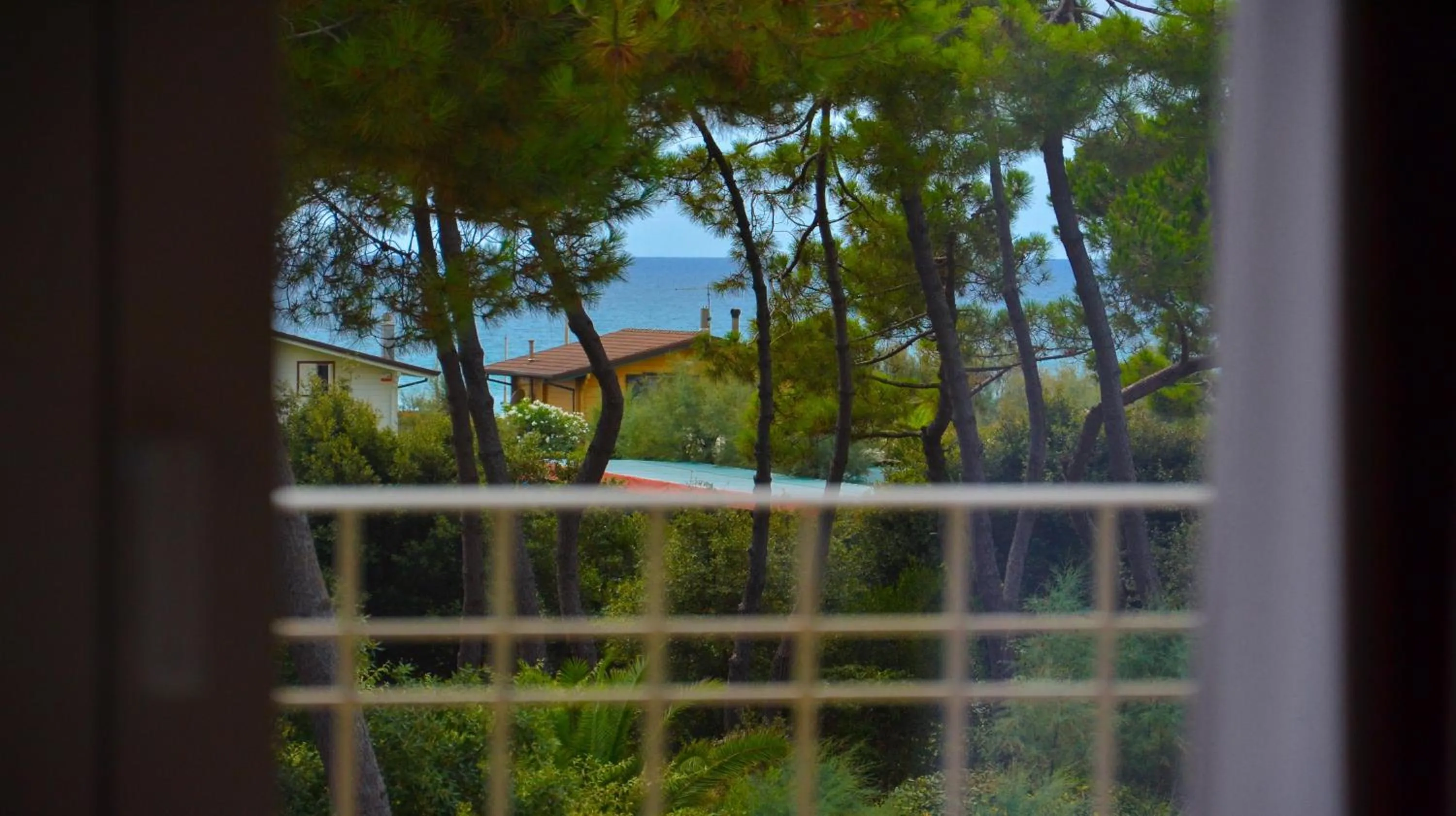 Balcony/Terrace in Hotel Villa Elsa