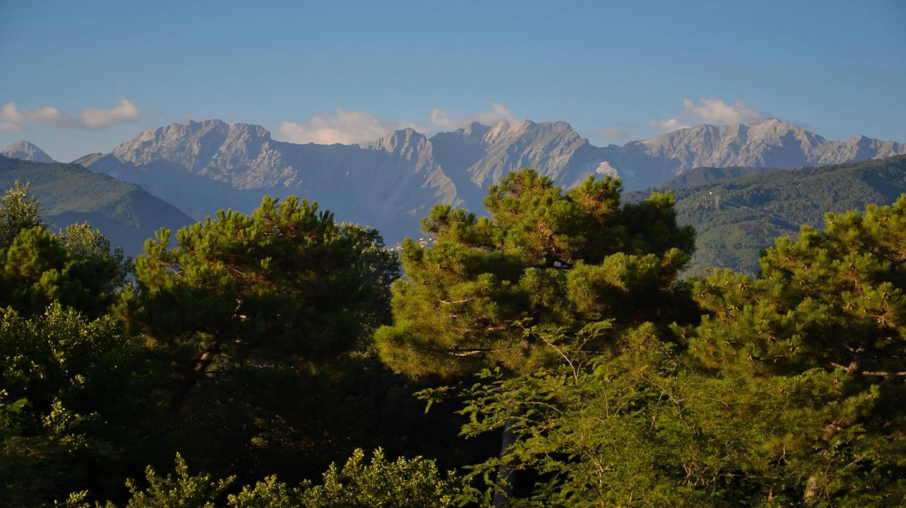 Other in Hotel Villa Elsa