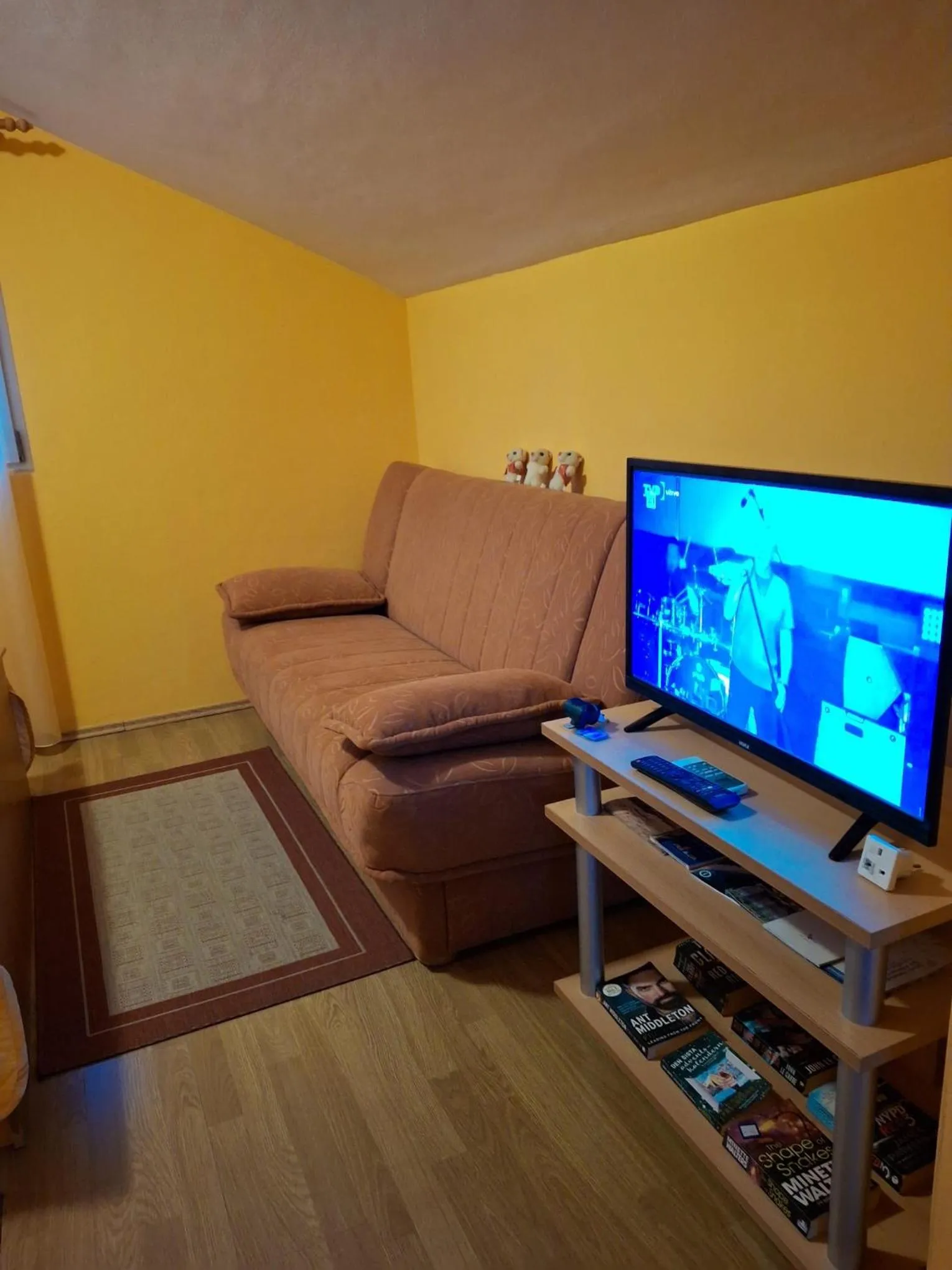 TV and multimedia in Villa Luketa