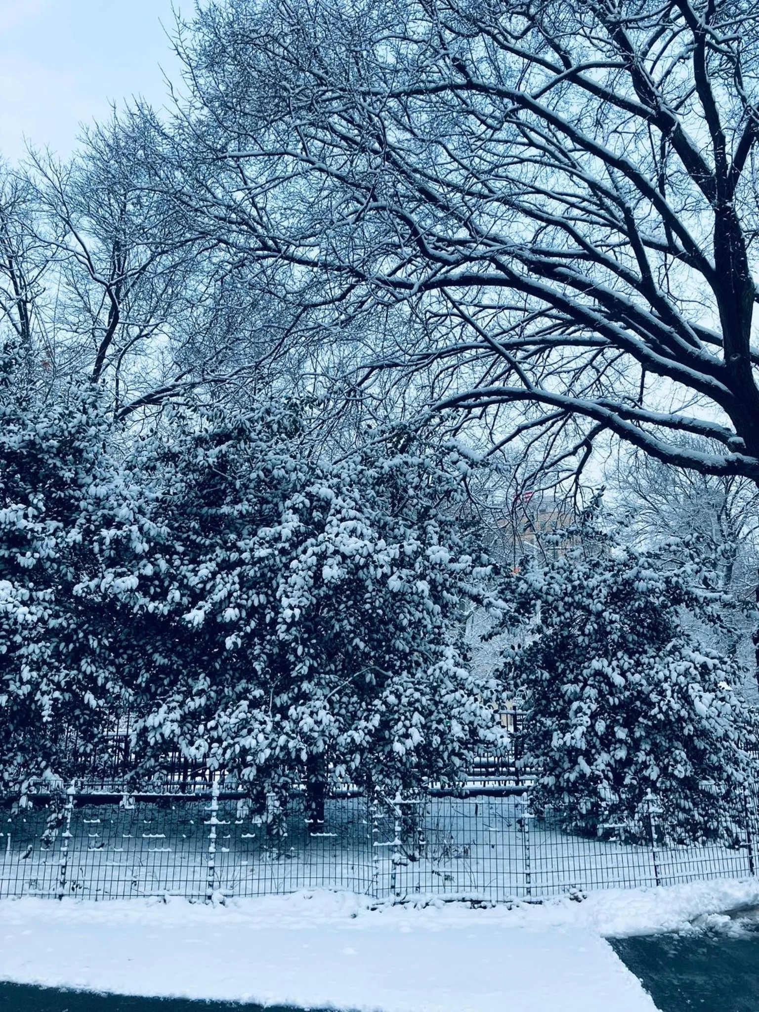 Winter in Harlem Grand