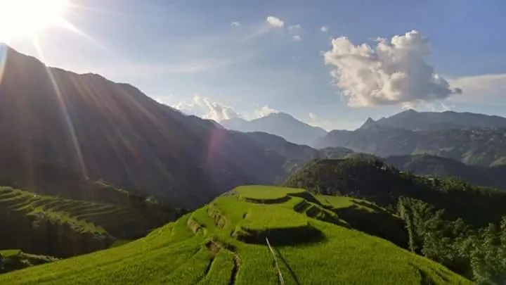 Nguyen Dang Guesthouse