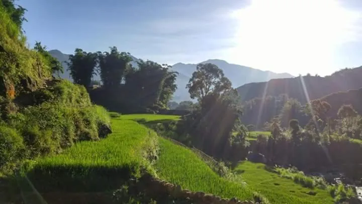 Nguyen Dang Guesthouse