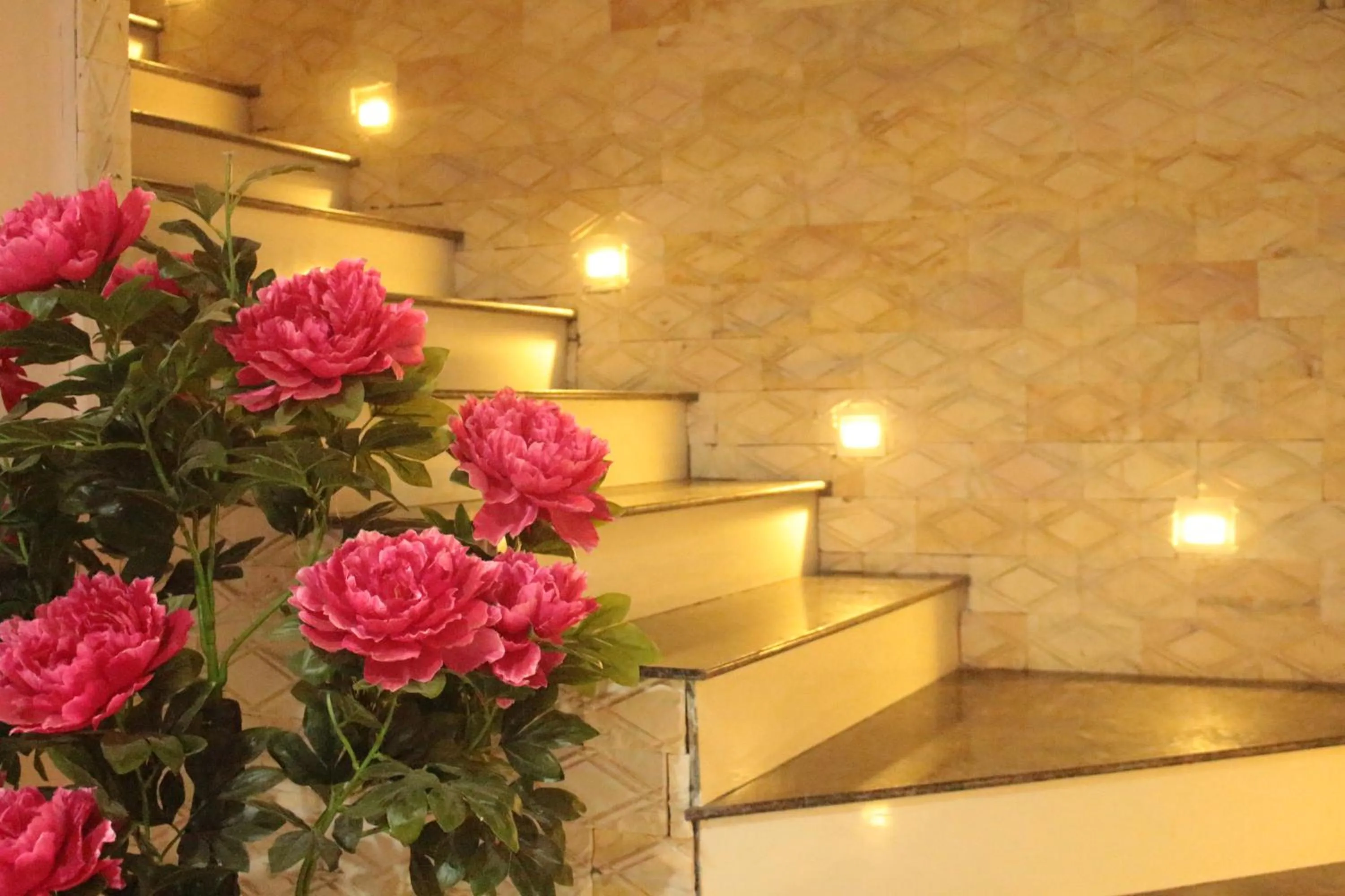 Nguyen Dang Guesthouse