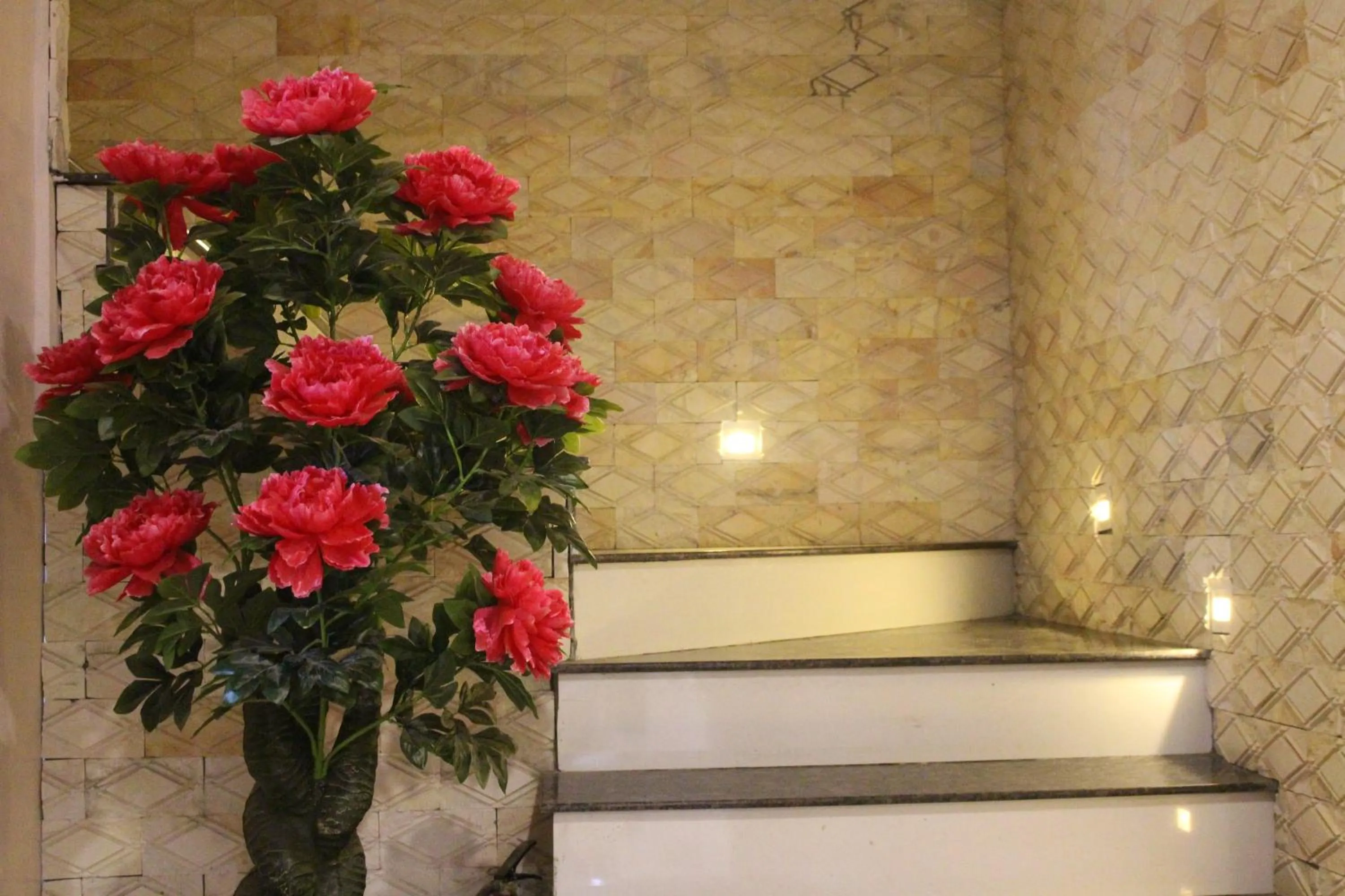 Nguyen Dang Guesthouse