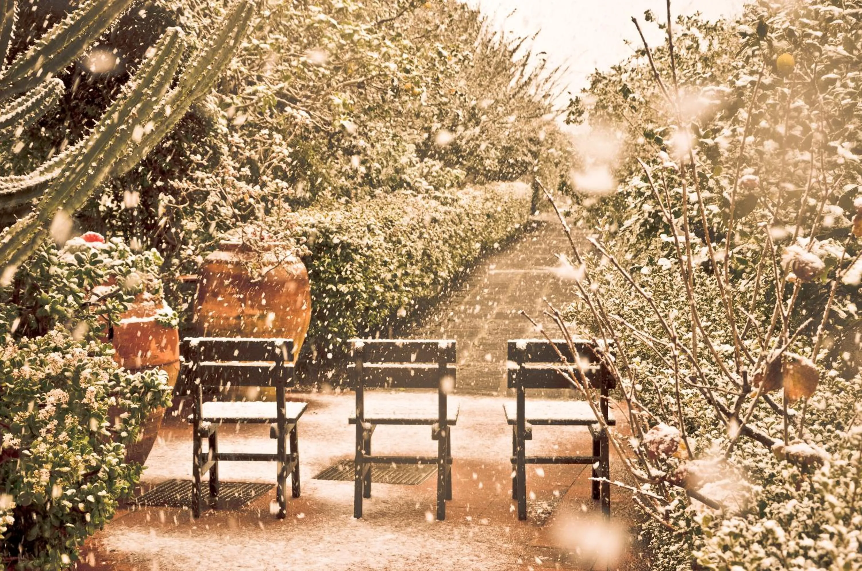 Natural landscape in La Terra Del Mezzo
