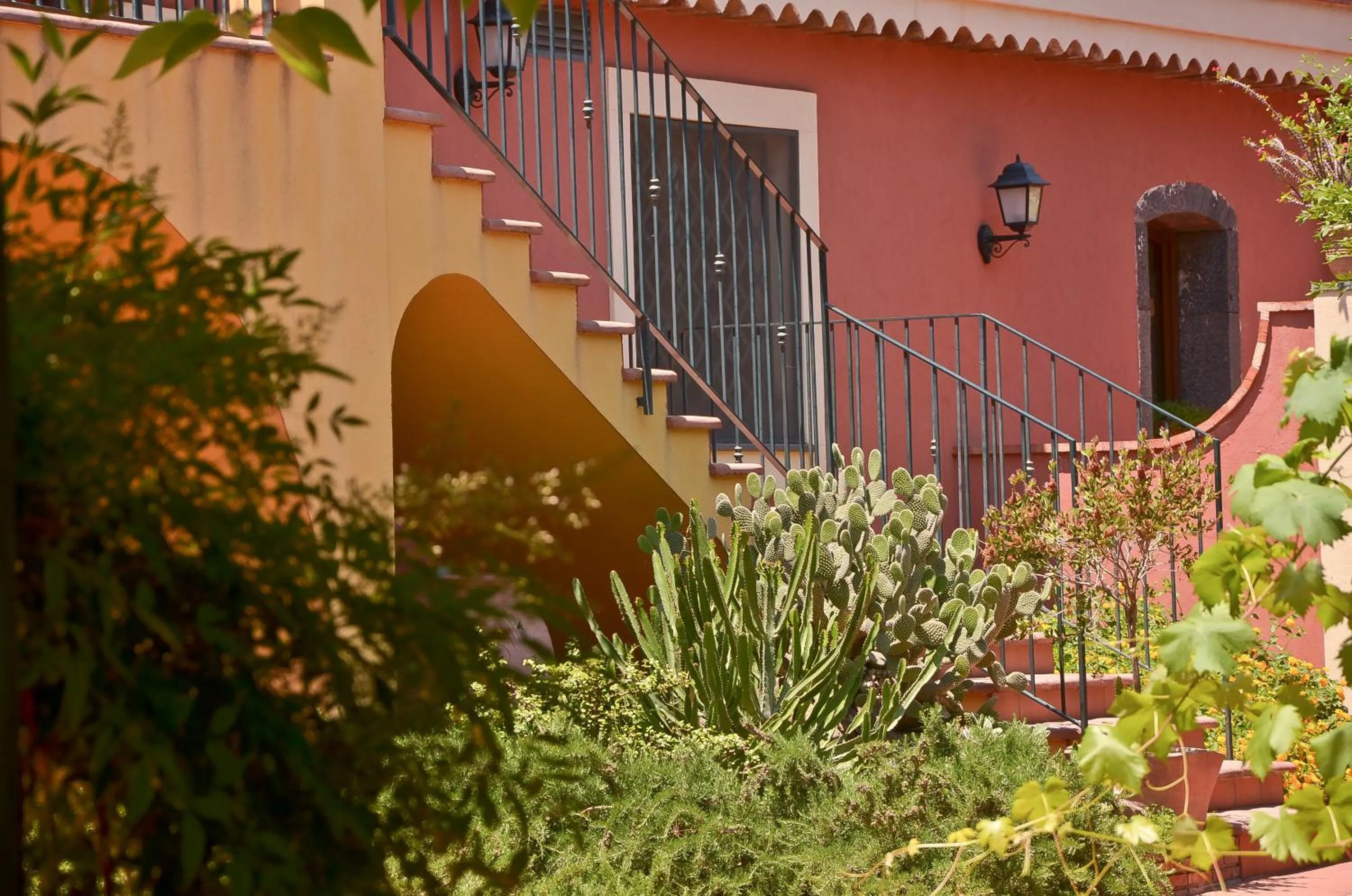 Day in La Terra Del Mezzo