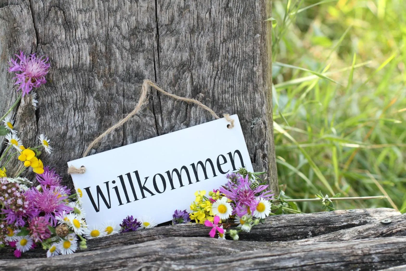 Decorative detail in Sporthotel Pechtl