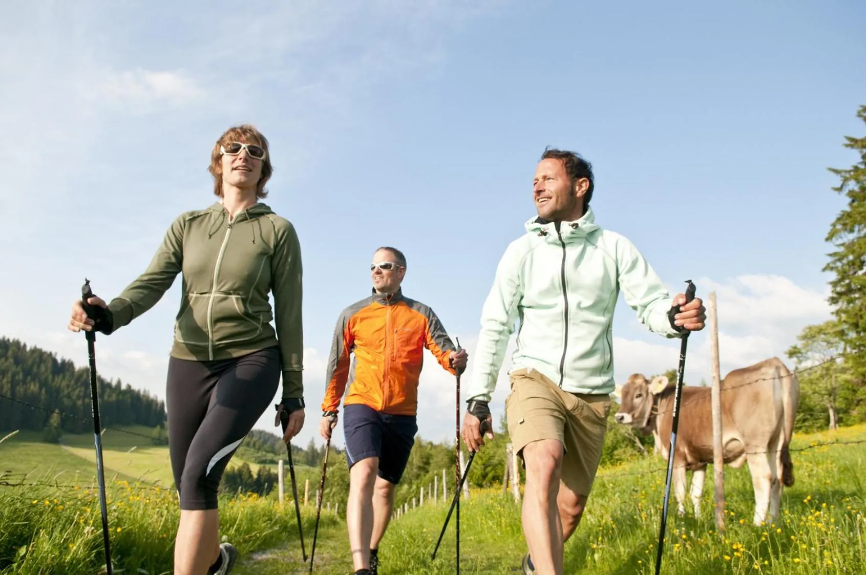 Area and facilities in Sporthotel Pechtl