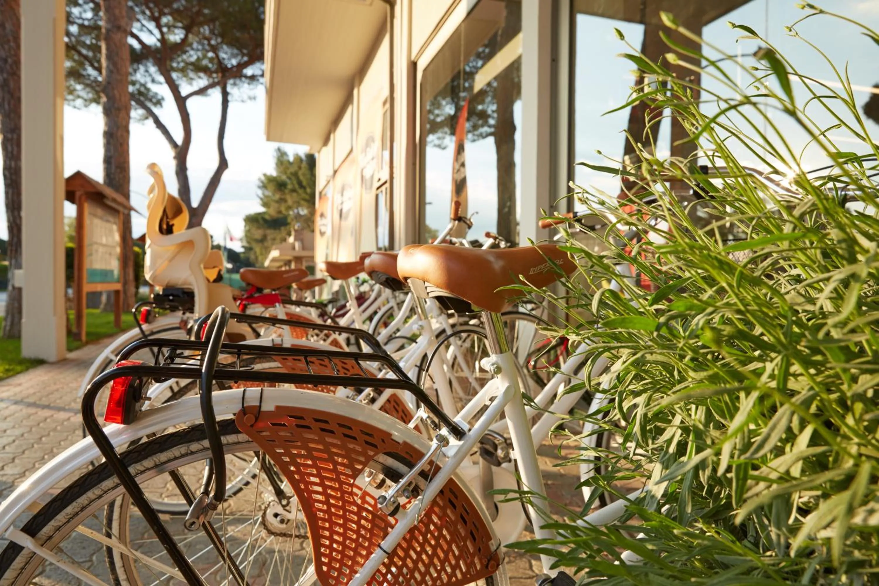 Cycling in Golfo del Sole Hotel & Holiday Resort