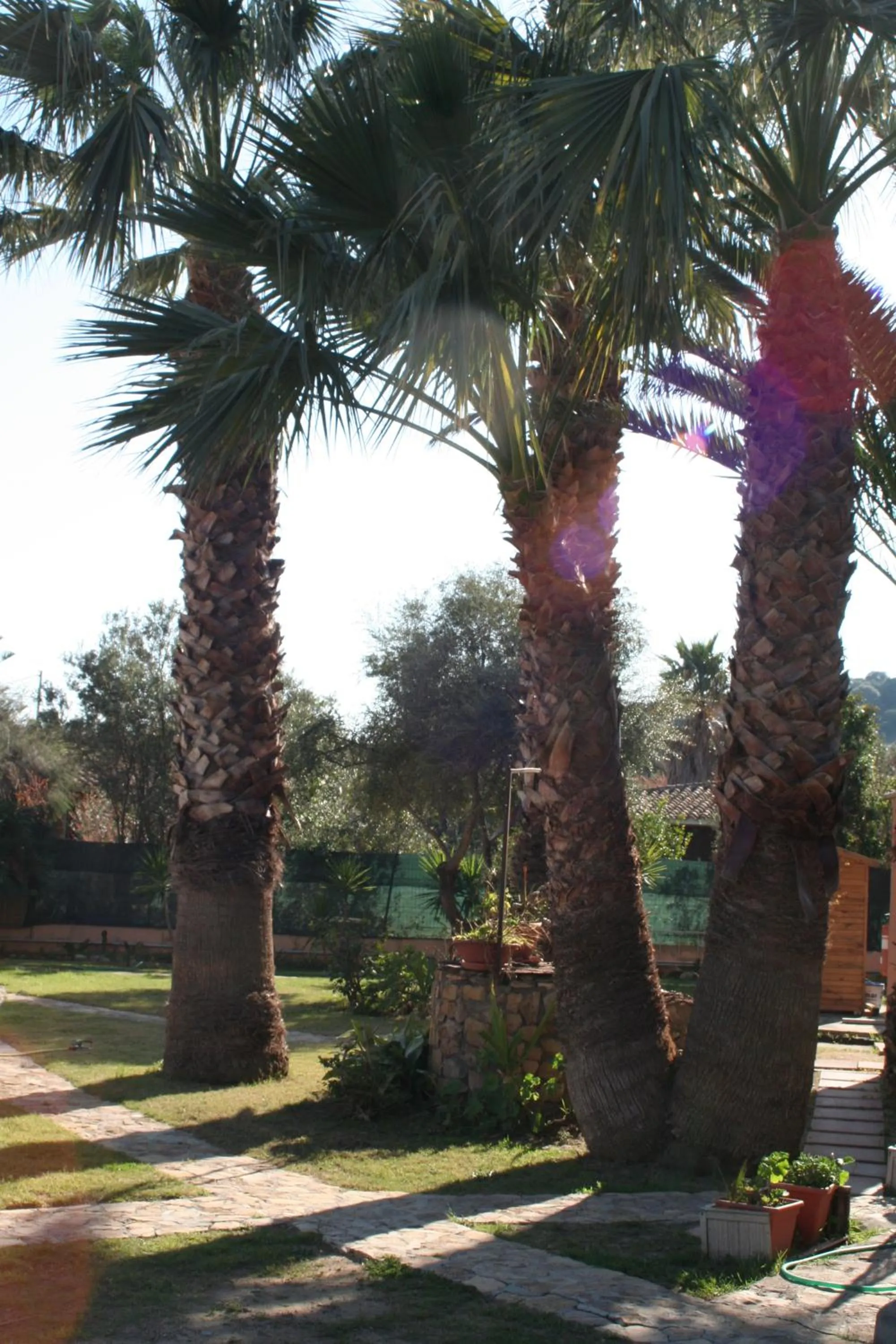 Facade/entrance in Verdemare Sardegna Uno