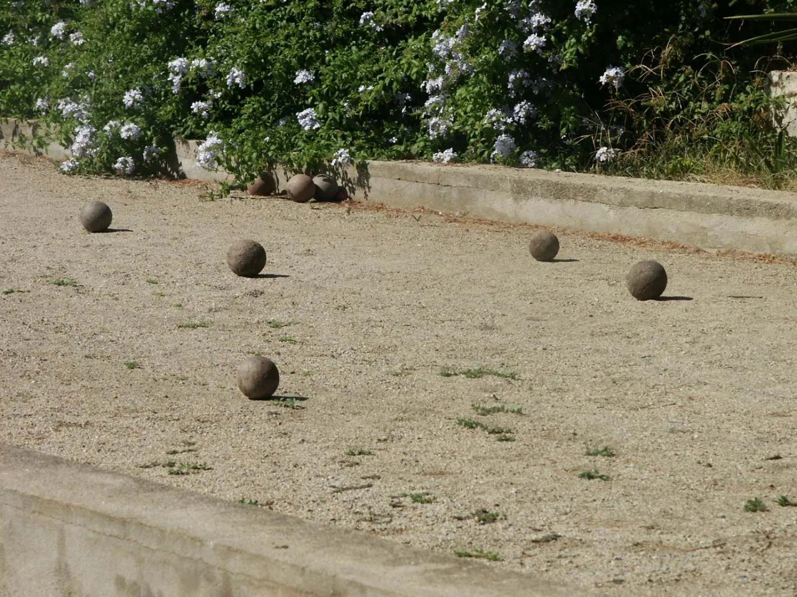 Entertainment in Verdemare Sardegna Uno