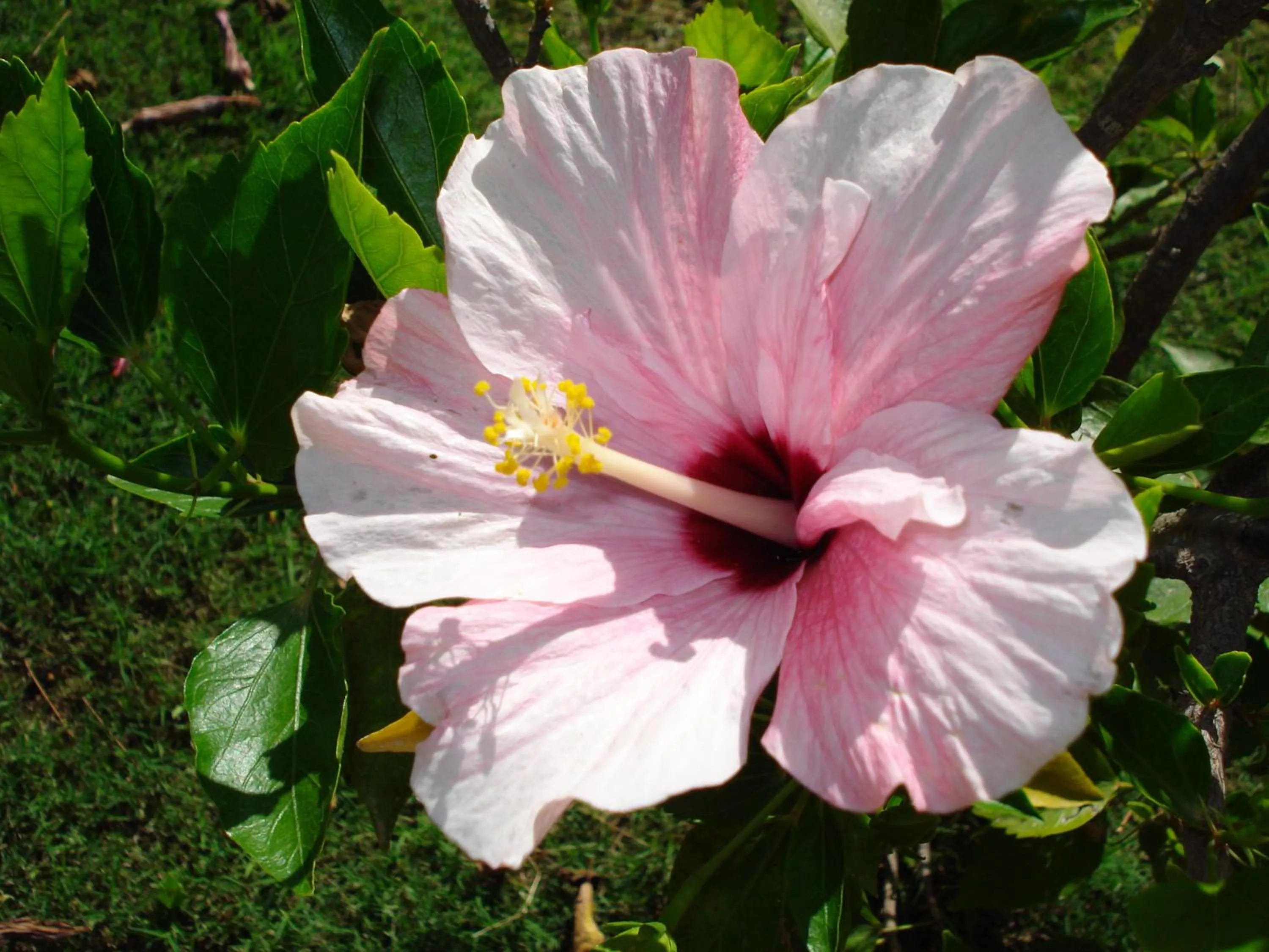 Garden in Verdemare Sardegna Uno