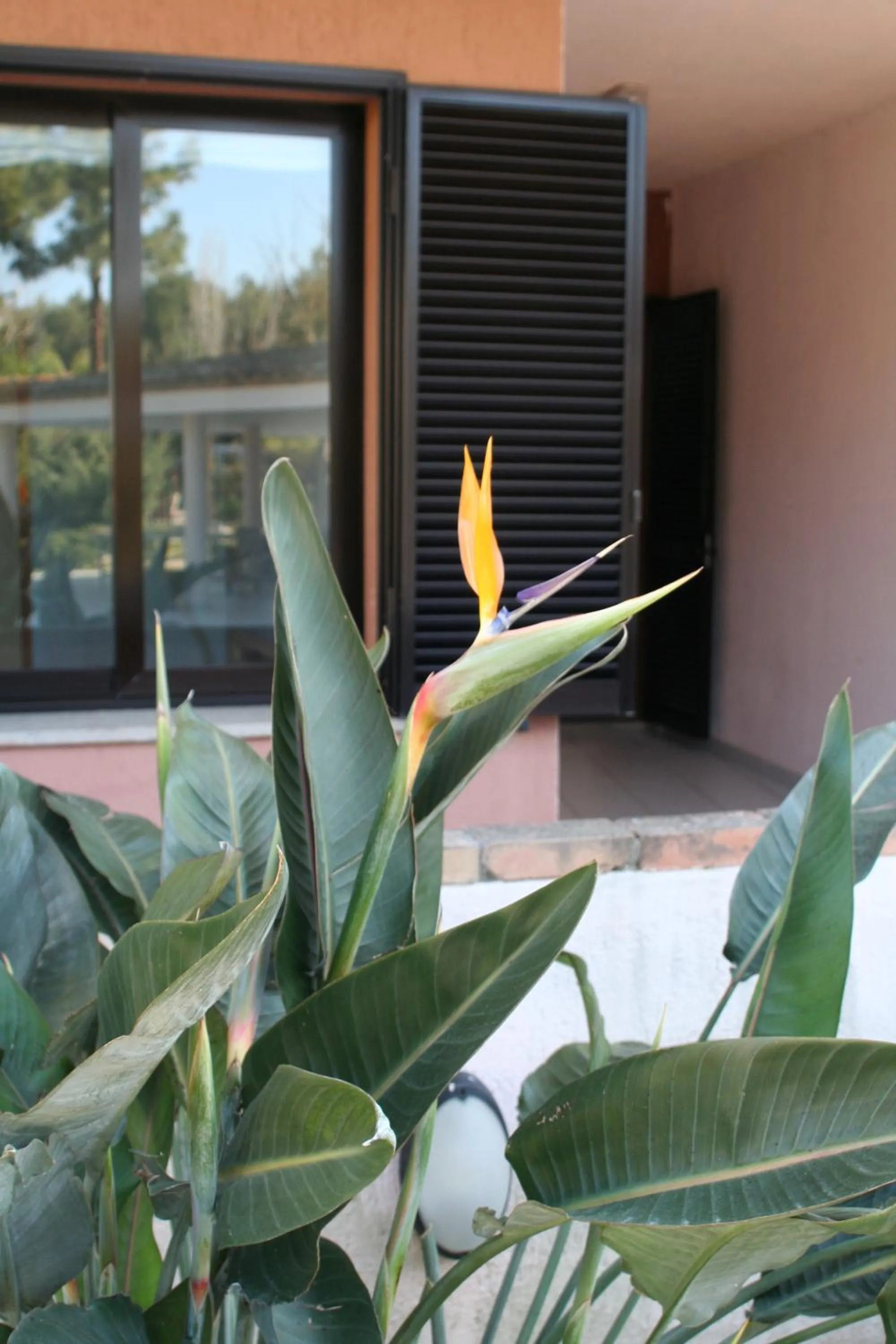 Facade/entrance in Verdemare Sardegna Uno