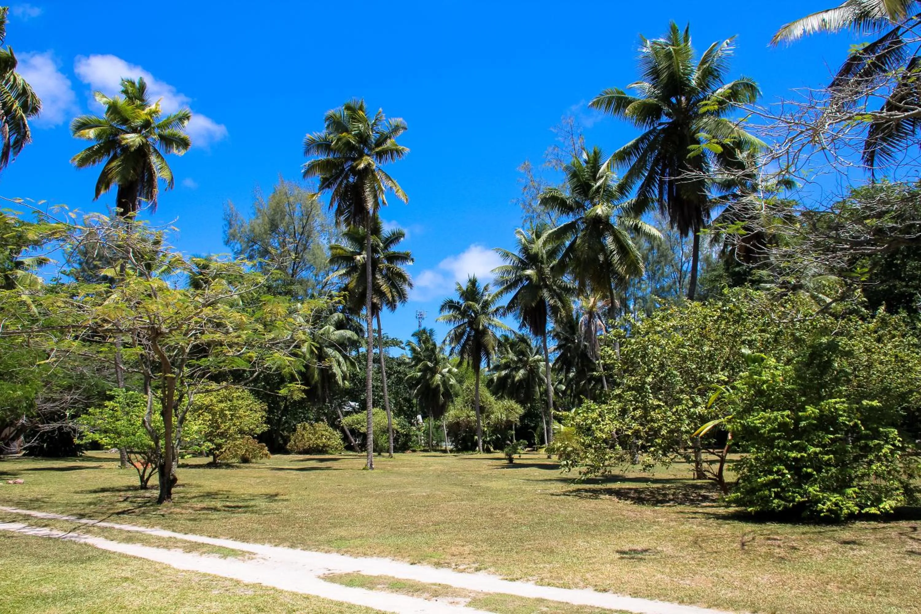 Garden in Hotel Cote d'or Lodge