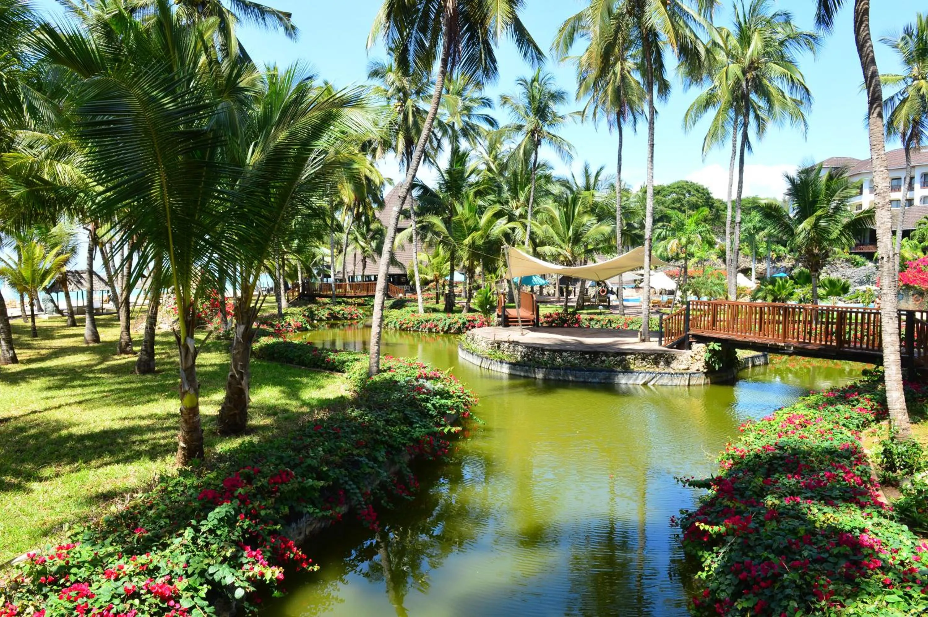 Natural landscape in Diani Reef Beach Resort & Spa - Your Beachfront Bliss Awaits